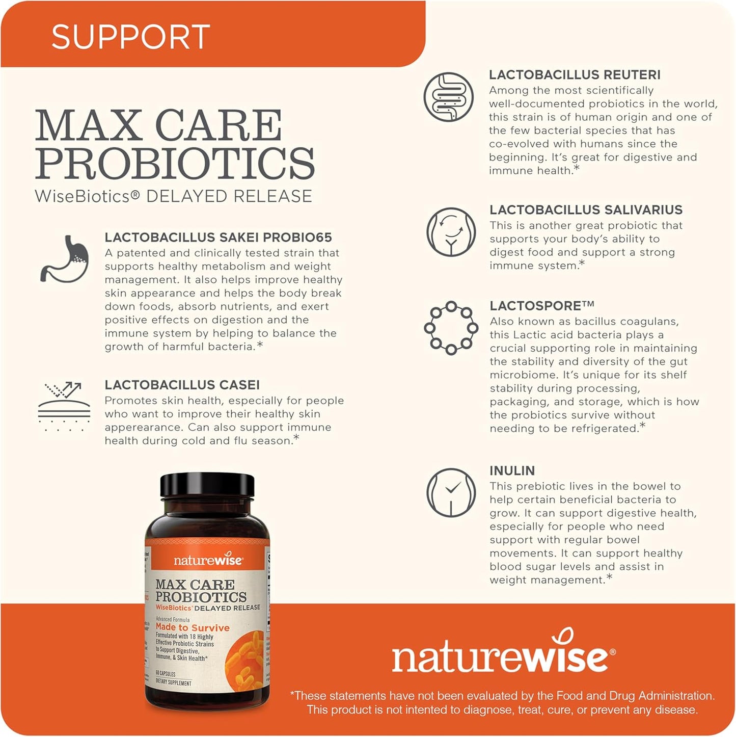 naturewise-max-probiotics-for-gut-digestive-health---30-billion-cfu-18-strains-prebiotics-delayed-release---60-capsules-gluten-free-2-month-supply-4