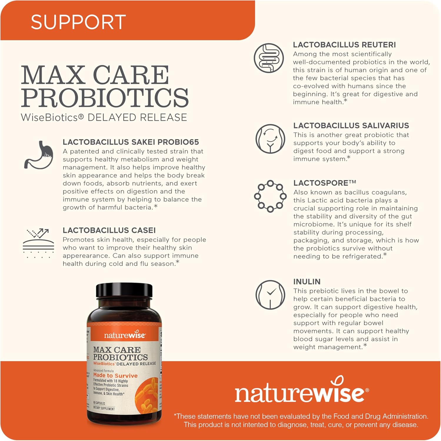naturewise-max-probiotics-for-gut-digestive-health---30-billion-cfu-18-strains-prebiotics-delayed-release---60-capsules-gluten-free-2-month-supply-4