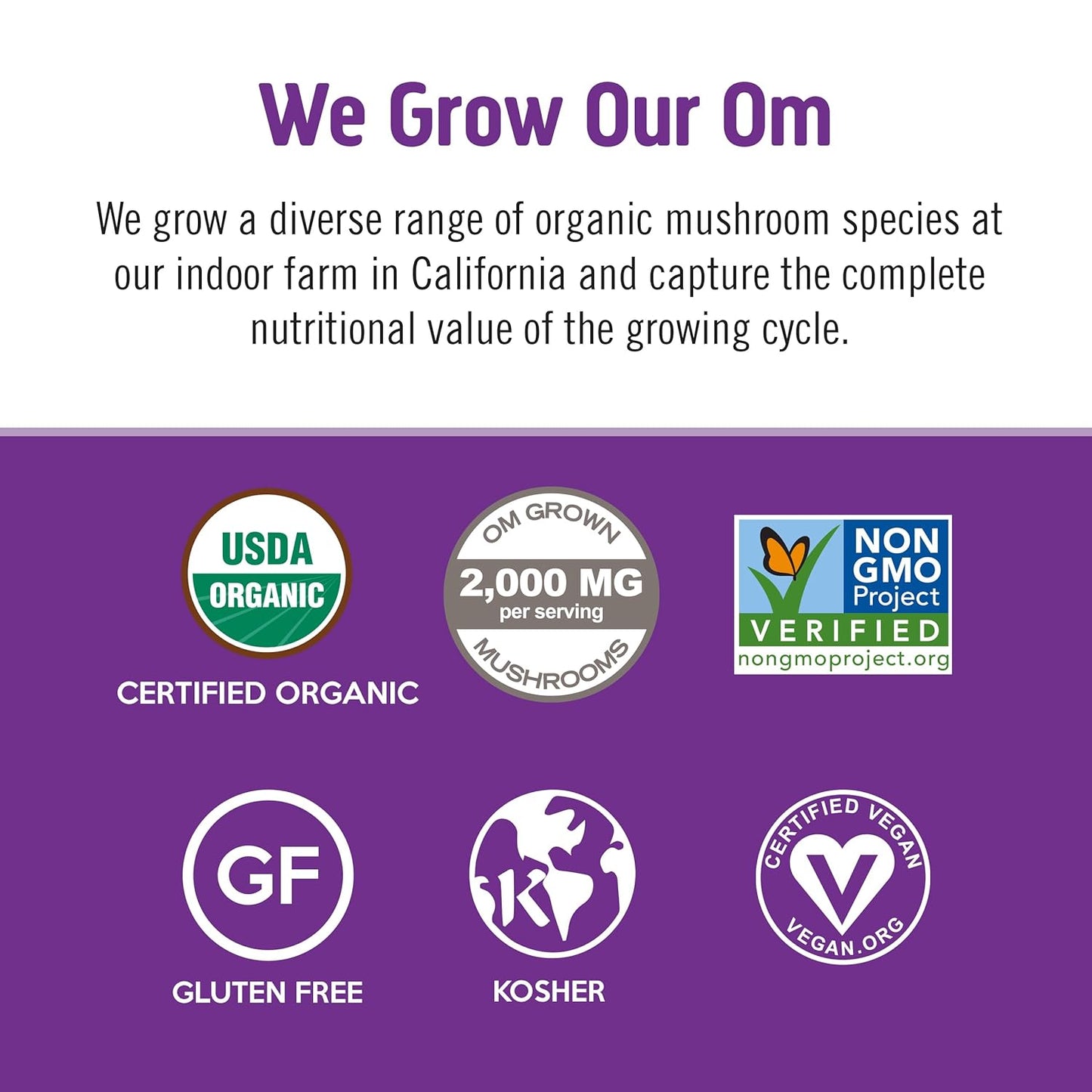 om-mushroom-superfood-hot-chocolate-blend---847oz-canister-30-servings-dutch-cocoa-2g-sugar-25-calories---lions-mane-reishi-chaga-turkey-tail---focus-stress-support-4