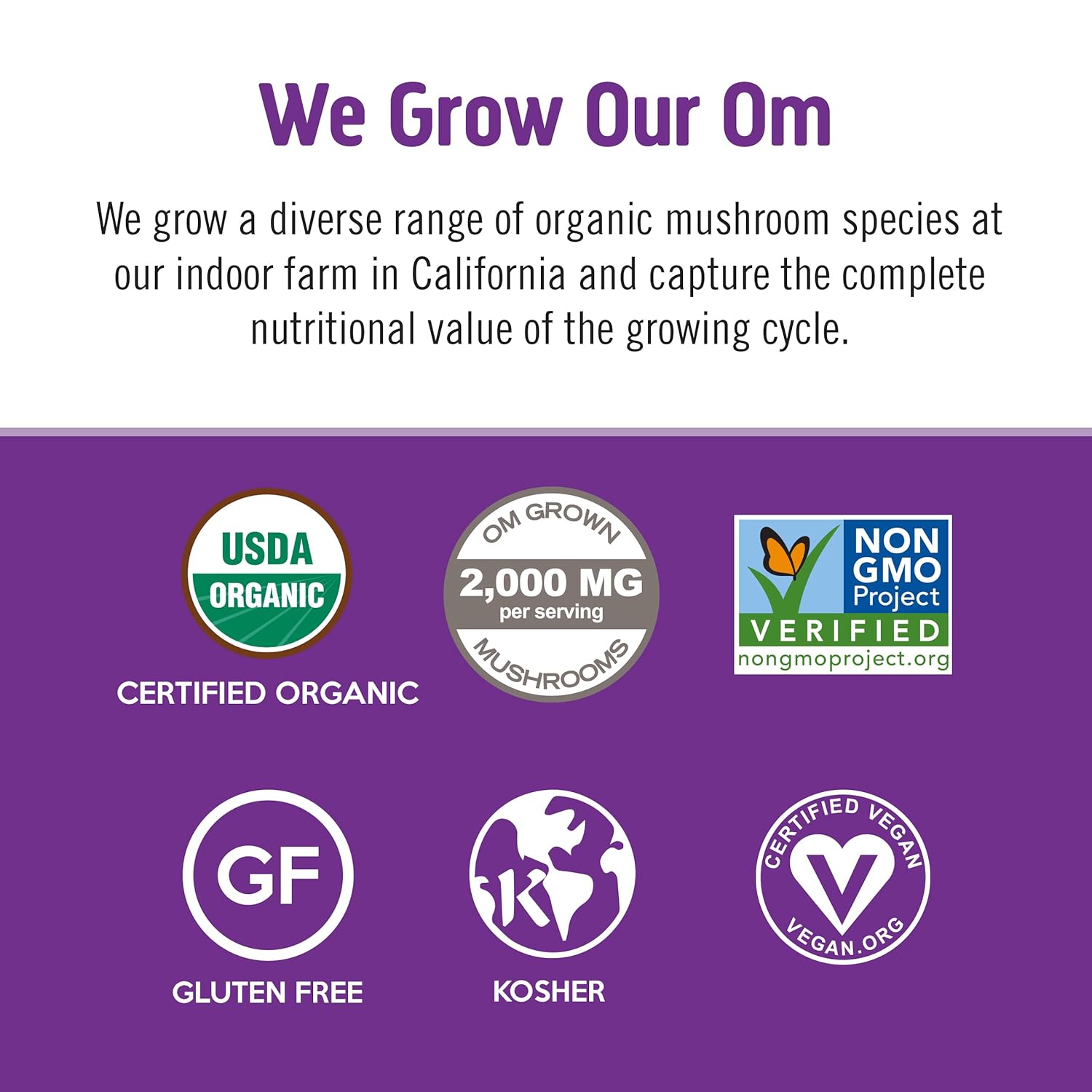 om-mushroom-superfood-hot-chocolate-blend-single-serve-packets---10-count-dutch-cocoa-flavor-with-lions-mane-reishi-chaga-turkey-tail-mushrooms-for-focus-and-stress-support---2g-sugar-25-calories-4