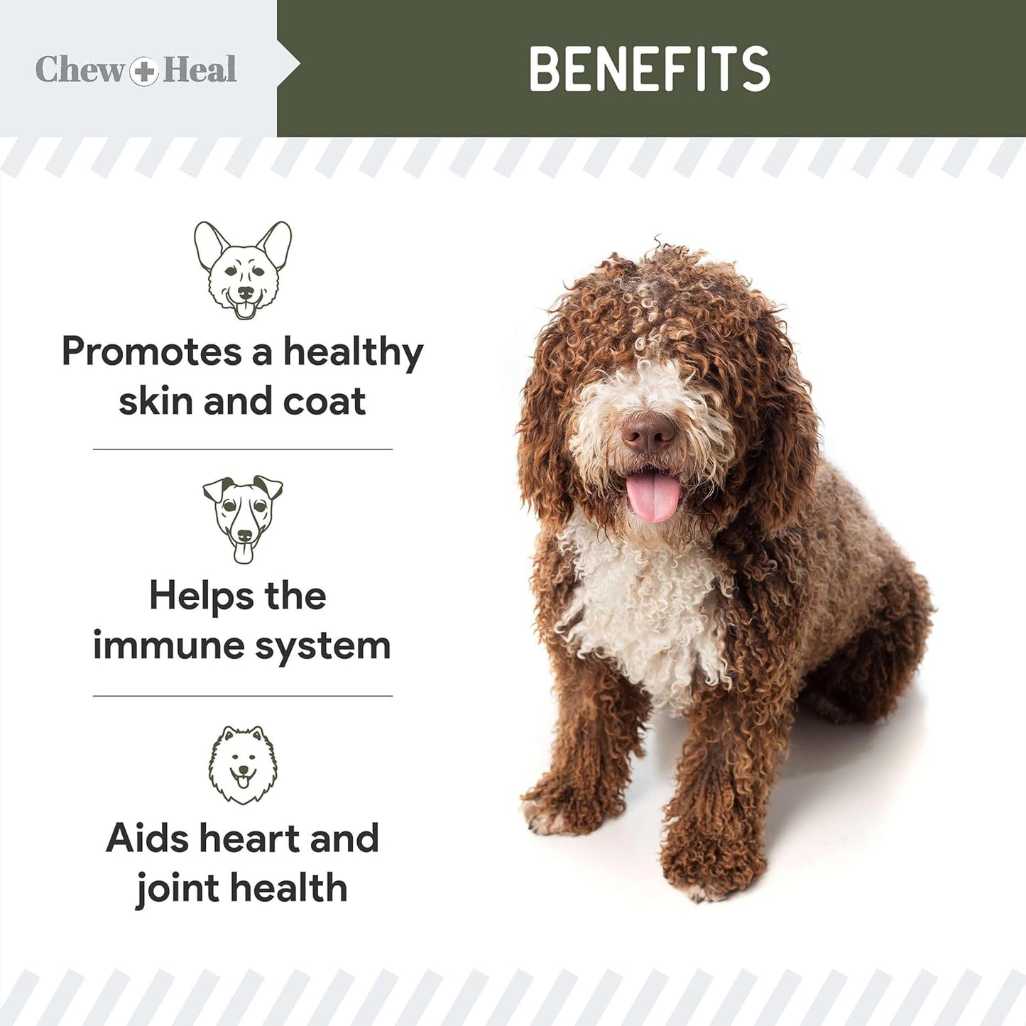 chew-heal-labs-pure-cod-liver-oil-for-dogs---16-oz-pump-cap-bottle---with-omega-3-omega-6-vitamin-a-vitamin-d---promotes-skin-coat-heart-joint-immune-health---itch-reduction-3
