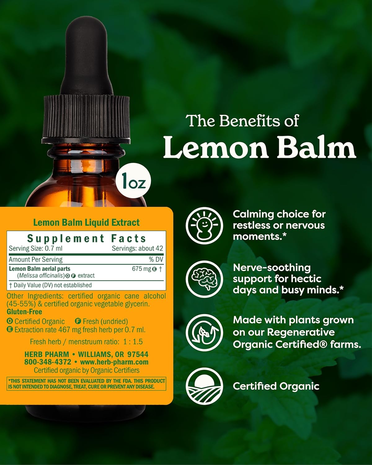 certified-organic-lemon-balm-liquid-extract-for-calming-nervous-system---1-ounce-2