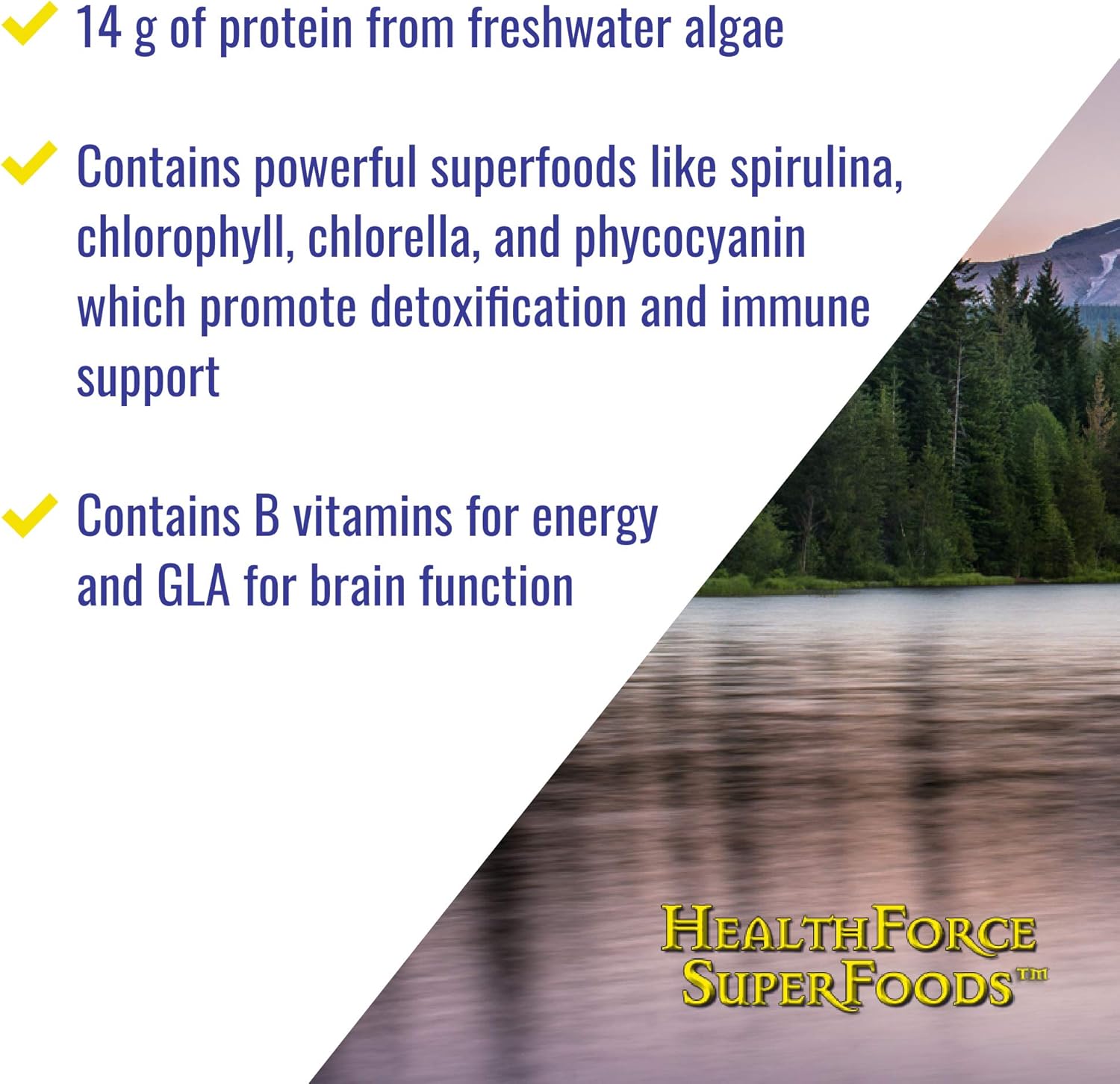 healthforce-superfoods-green-protein-alchemy-powder---500g-plant-based-protein-supplement-for-optimal-health-and-wellness-3
