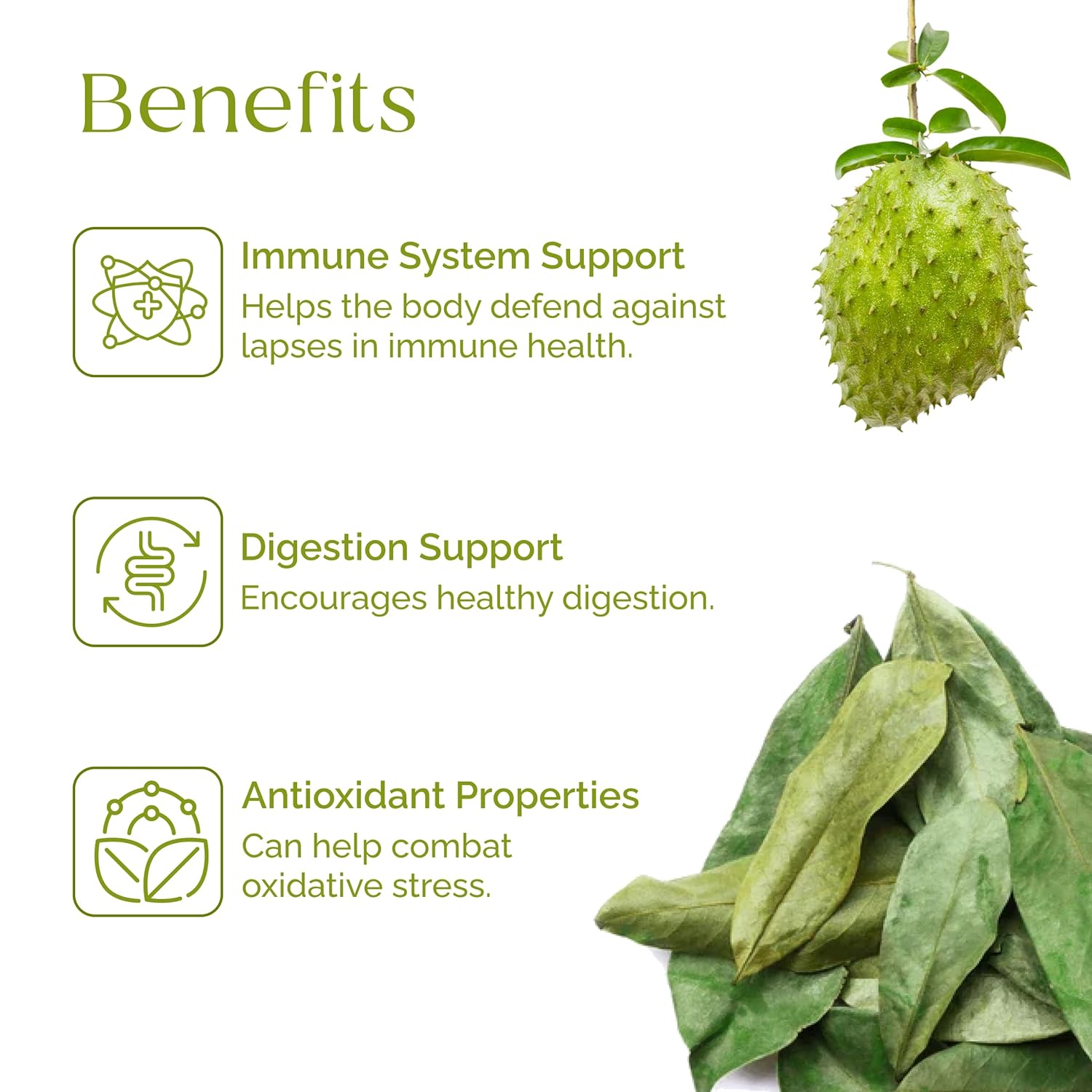 Organic Soursop Leaves for Tea and Extract, 30g, 80+ Whole Leaves - Graviola Leaf, Guanabana, Guyabano - by Organic Pharmacist - Espot.com.au