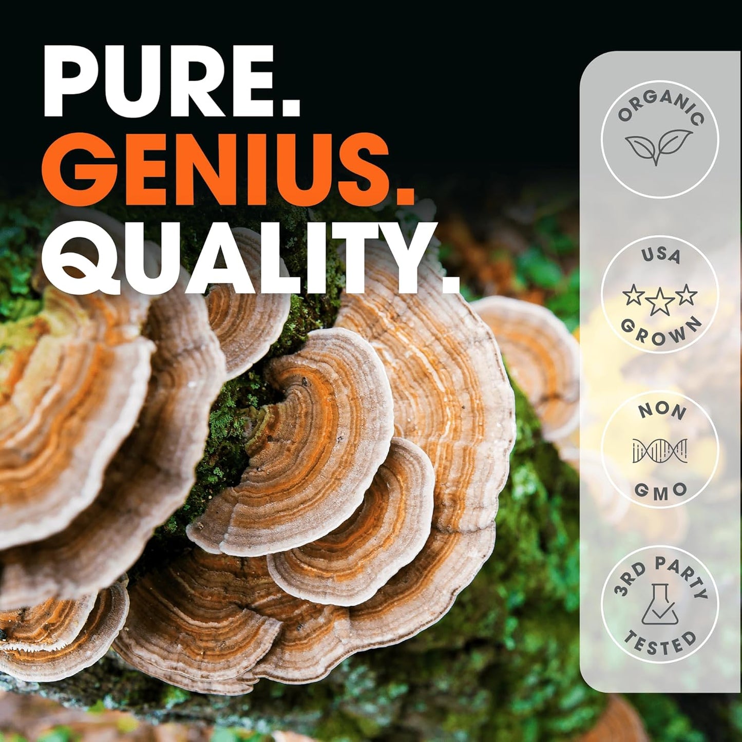 organic-genius-turkey-tail-supplement-capsules-for-digestive-and-gut-health---120-capsules-by-the-genius-brand-5