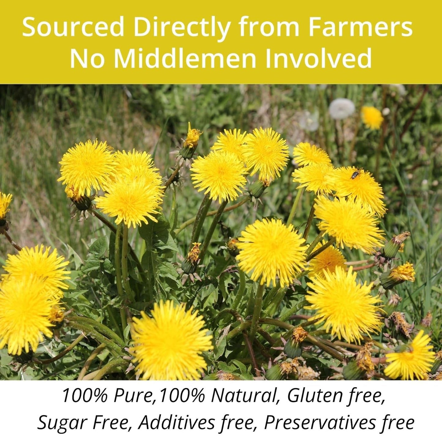 vitalforest-natural-dandelion-tea-bags---60-bags-3g-each---caffeine-free-herbal-tea-with-dandelion-leaf-and-root---eco-friendly-corn-fiber-bags---diente-de-leon-health-herb---635oz-8