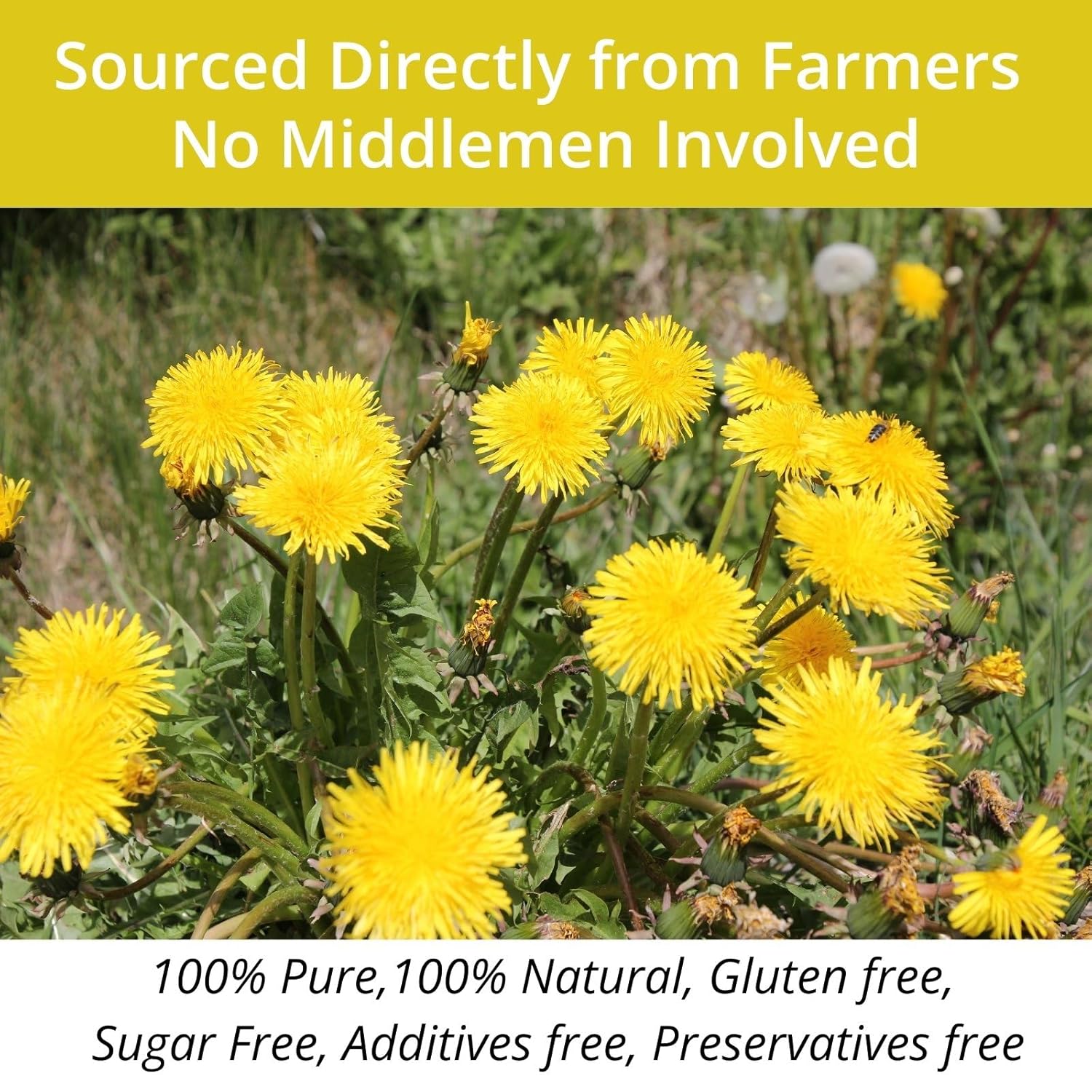 vitalforest-natural-dandelion-tea-bags---60-bags-3g-each---caffeine-free-herbal-tea-with-dandelion-leaf-and-root---eco-friendly-corn-fiber-bags---diente-de-leon-health-herb---635oz-8