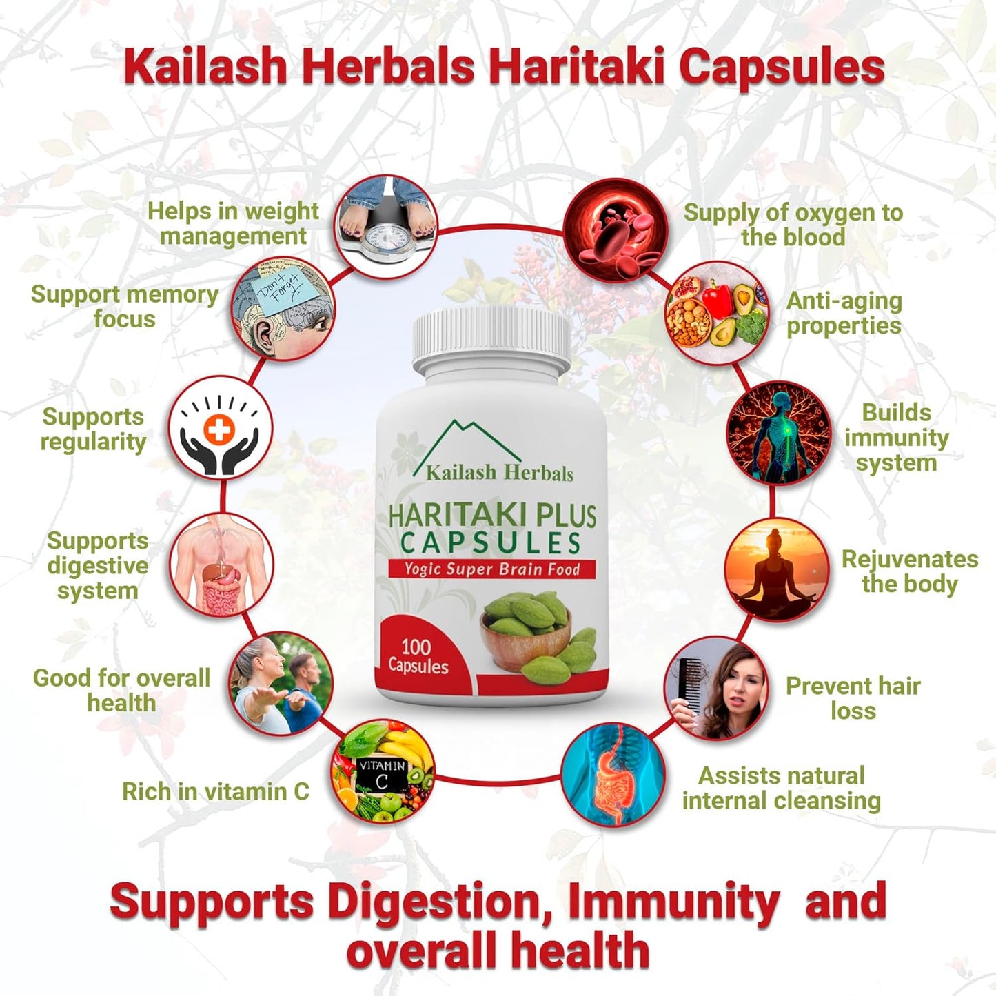 organic-haritaki-capsules-2420mg---digestion-support-detox-rejuvenation---regularity-brain-function---100-capsules-terminalia-chebula-vegan-non-gmo-3