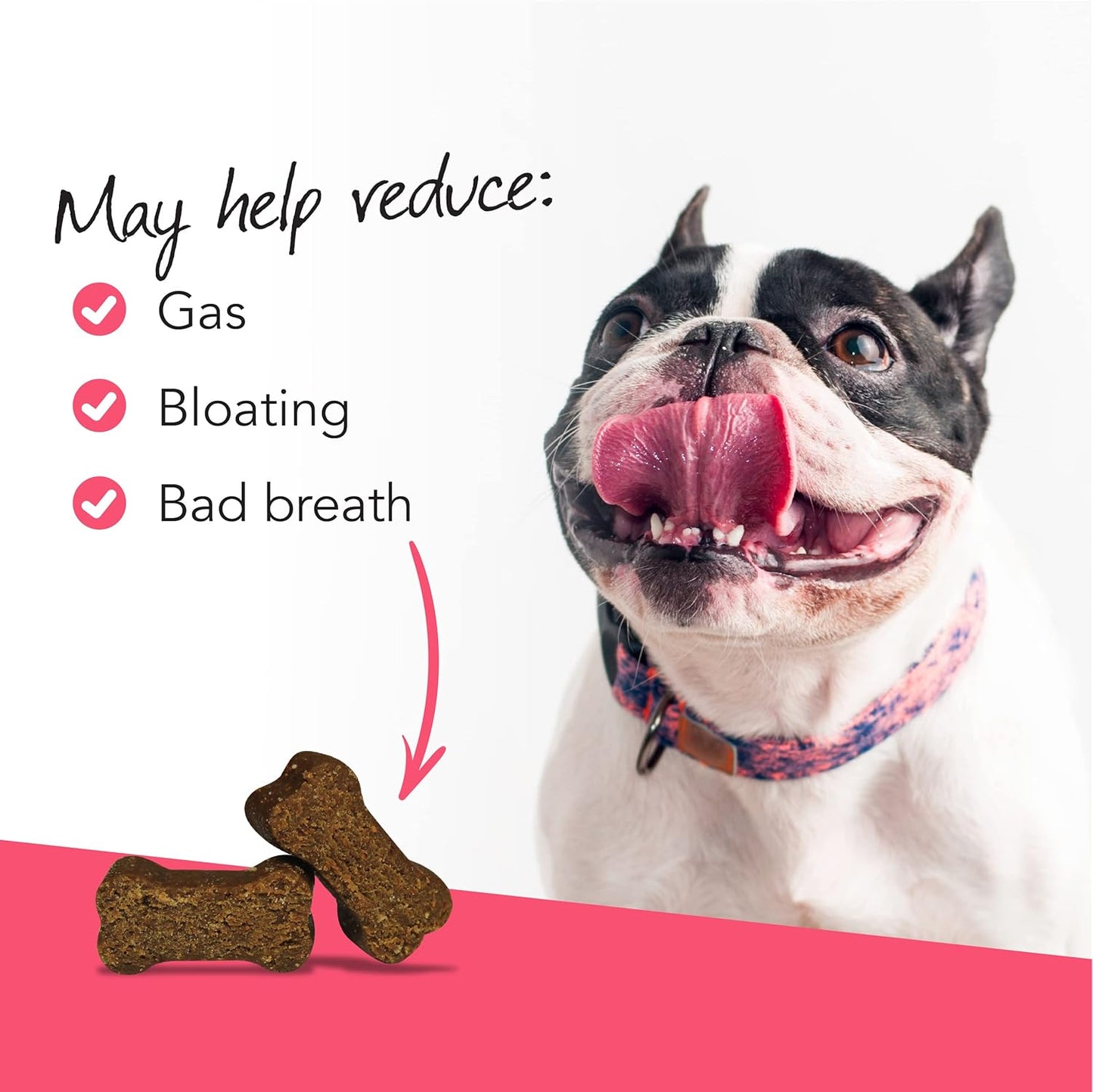 probiotic-everyday-for-dogs---immune-digestive-support-chews-45-count-4