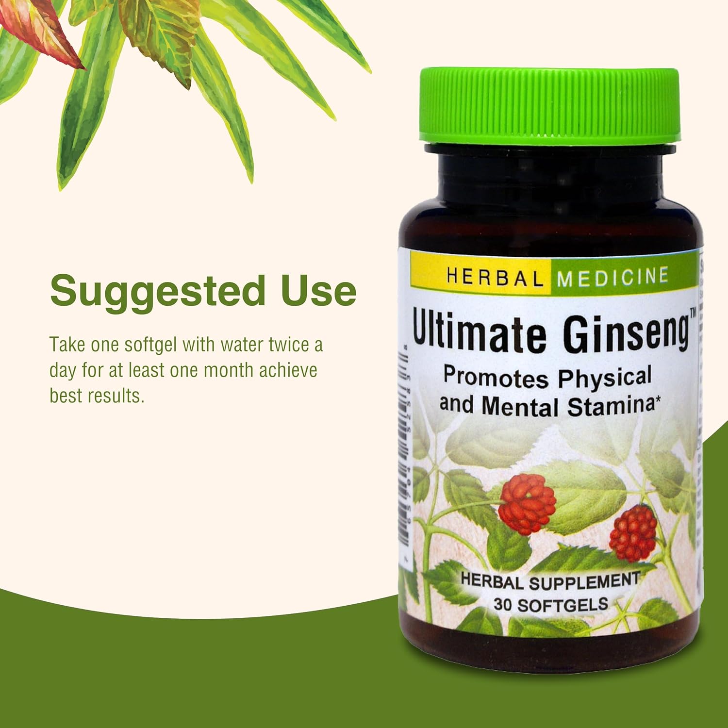 ultimate-ginseng-softgels-for-continuous-physical-activity-brain-health---daily-stamina-support---gluten-free---30-softgels-6