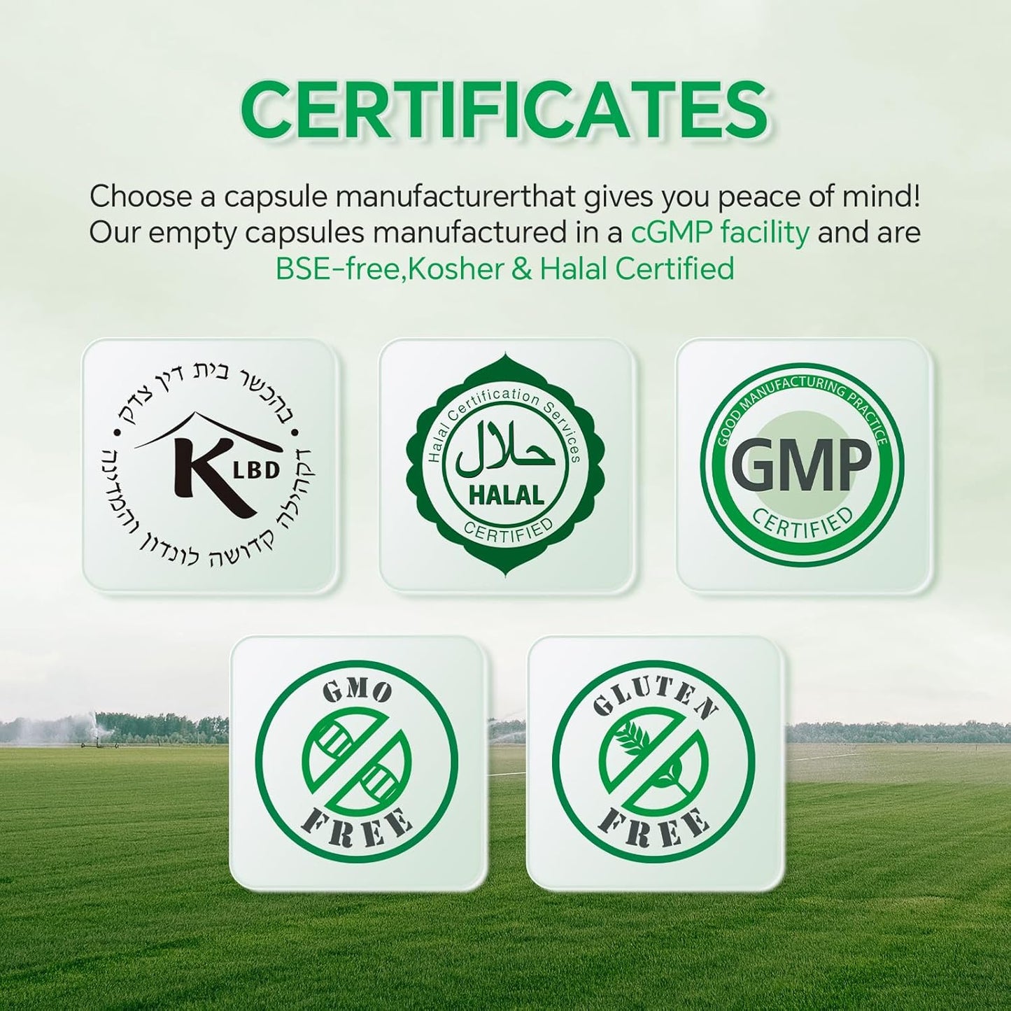 vegan-plant-based-size-0-empty-capsules-1000-count---gluten-free-non-gmo-halal-certified-pill-caps-filling-kit---diy-vegetarian-supplements-with-spoons-7