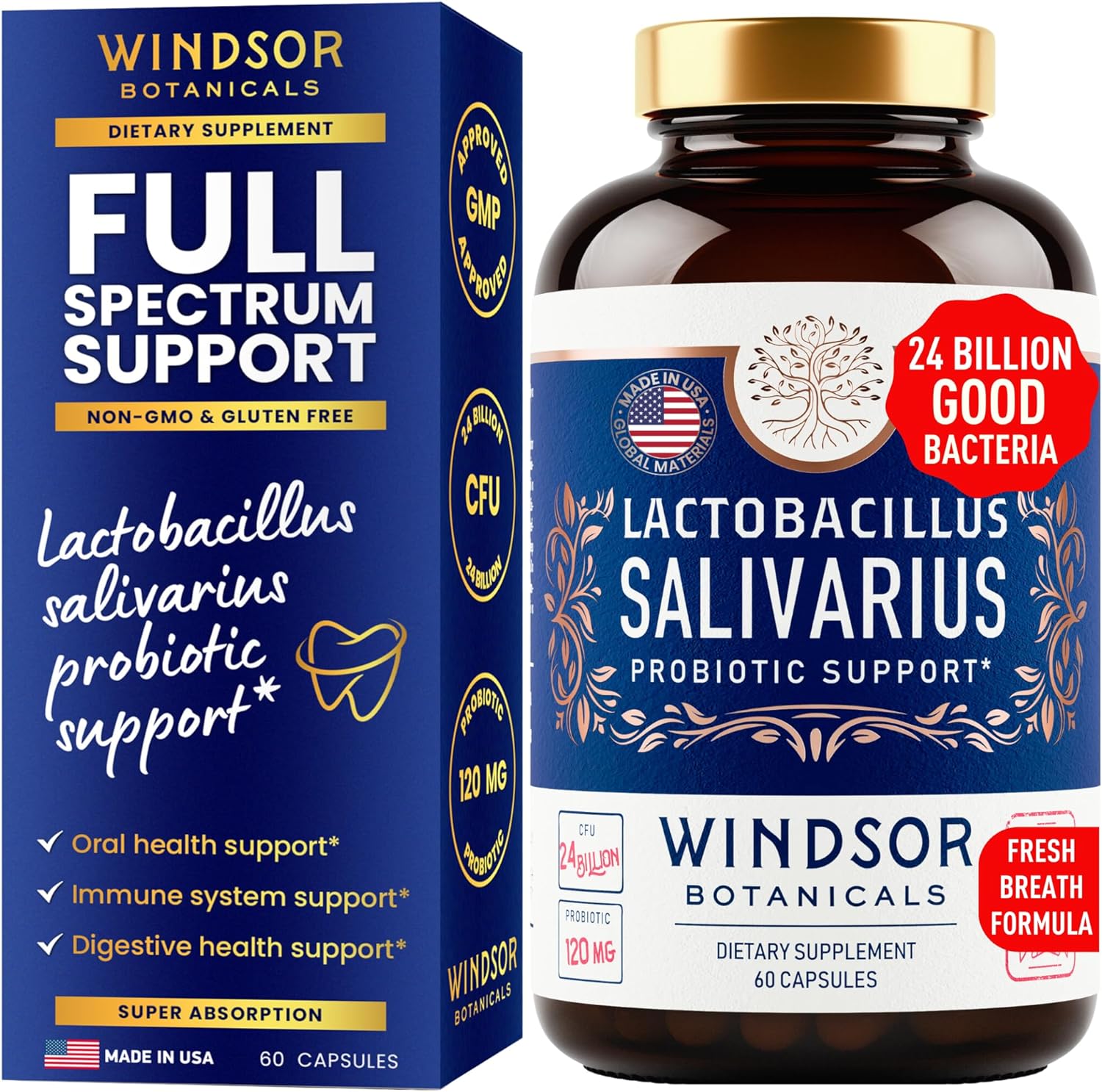 windsor-botanicals-lactobacillus-salivarius-probiotic-capsules---24bn-cfu-for-dental-health-bad-breath-treatment-immune-support-digestive-health---60-oral-probiotics-1