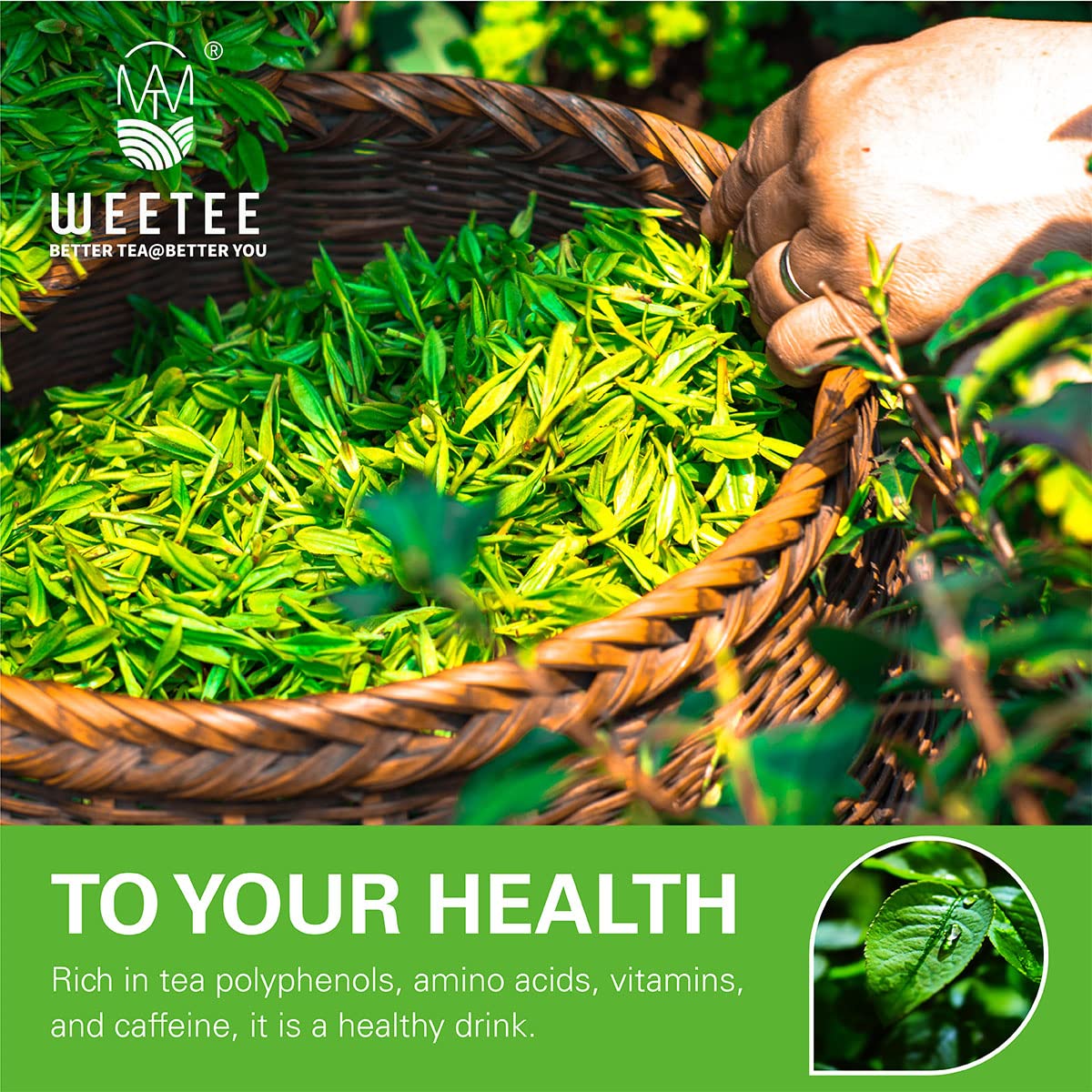 organic-green-tea-bags---100-count-usda-certified-pure-green-tea-with-super-antioxidant-properties-resealable-kraft-bag-for-hot-or-iced-brewing-2