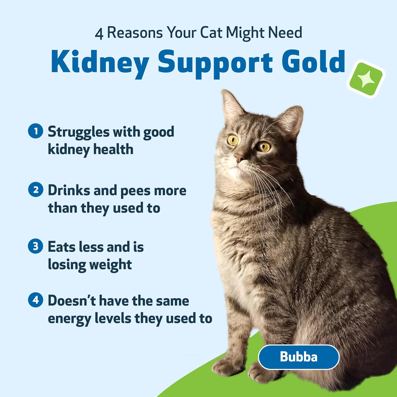 herbal-supplement-for-cats-supports-healthy-kidney-function-energy-levels-vet-formulated-kidney-support-gold-rehmannia-dong-quai-2-oz-bottle-2