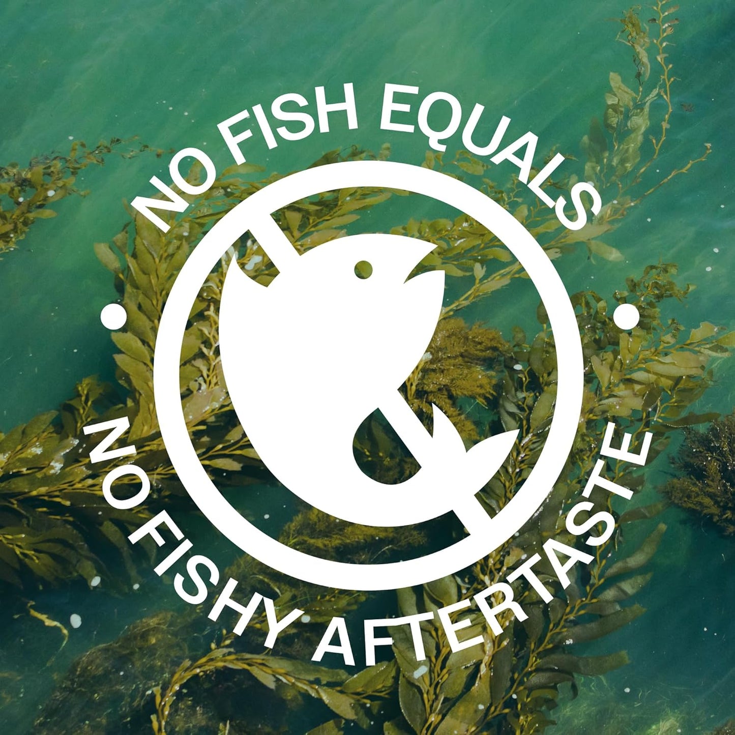 plant-based-ovega-3-algal-oil-omega-3-daily-supplement-500mg-supports-heart-brain-eye-health-2-mini-softgelsday-60ct-7