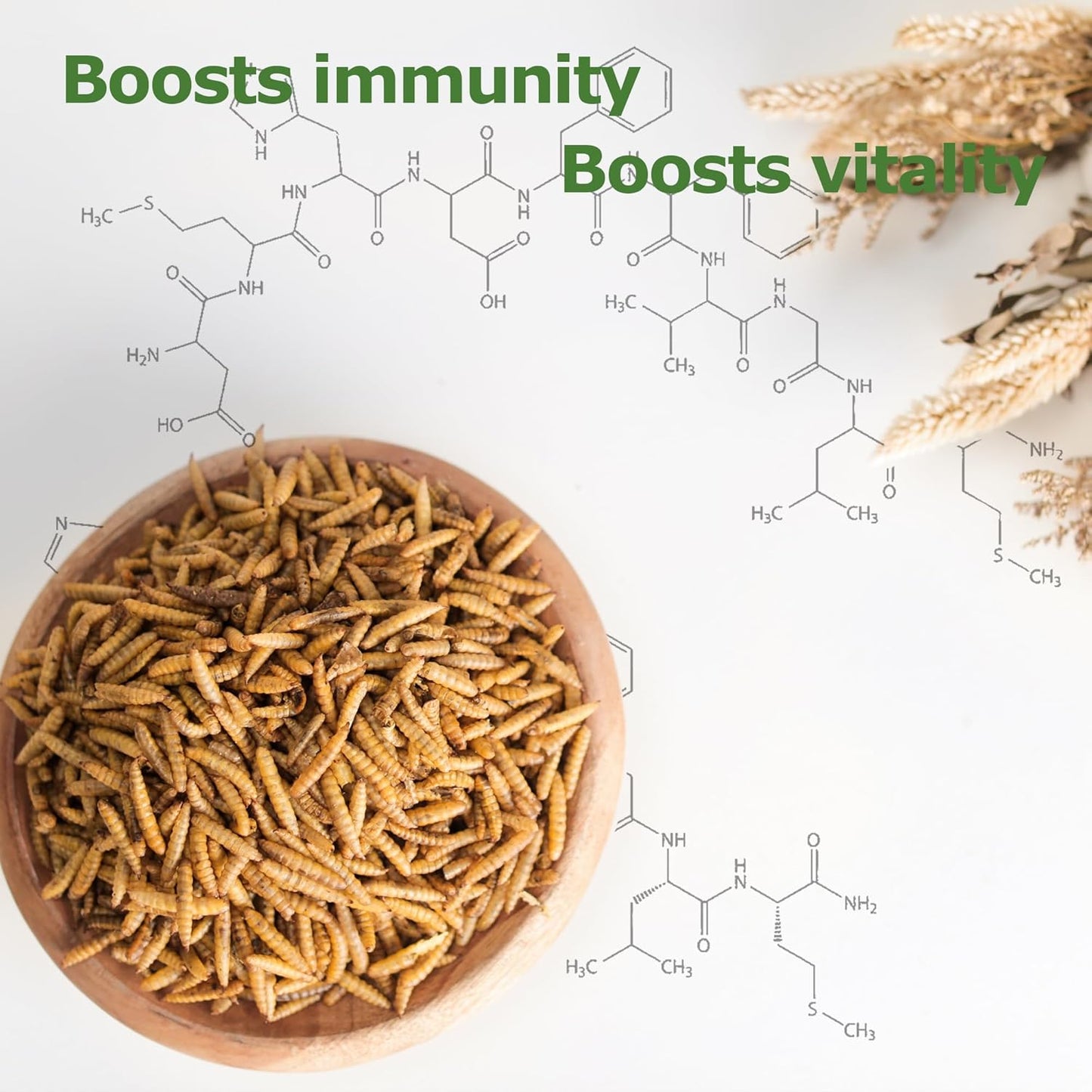 5lb-dried-black-soldier-fly-larvae-for-chickens-ducks---non-gmo-nutrient-packed-feed-boosts-egg-production-health-high-in-calcium-6