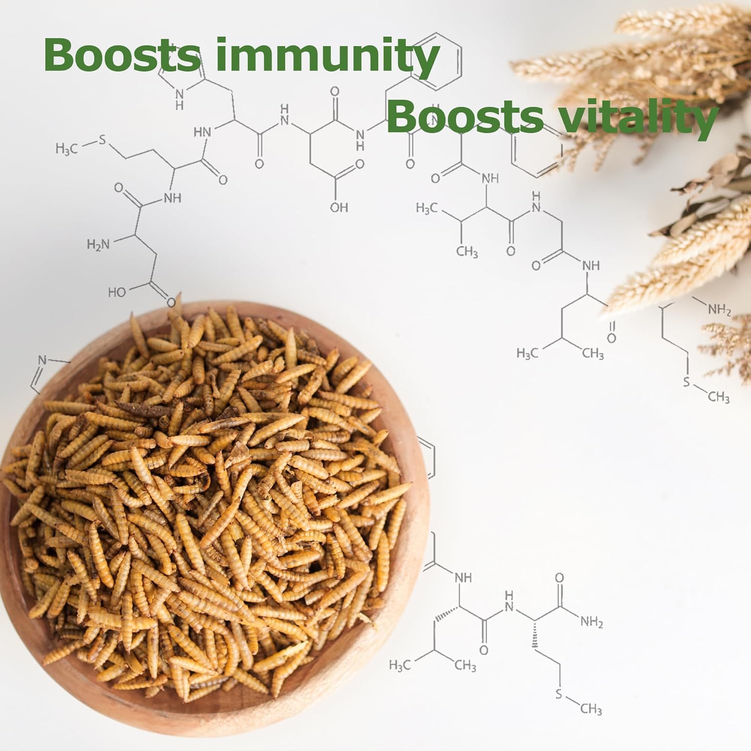 5lb-dried-black-soldier-fly-larvae-for-chickens-ducks---non-gmo-nutrient-packed-feed-boosts-egg-production-health-high-in-calcium-6