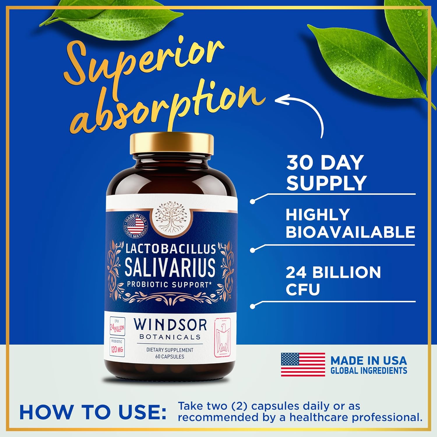 windsor-botanicals-lactobacillus-salivarius-probiotic-capsules---24bn-cfu-for-dental-health-bad-breath-treatment-immune-support-digestive-health---60-oral-probiotics-4