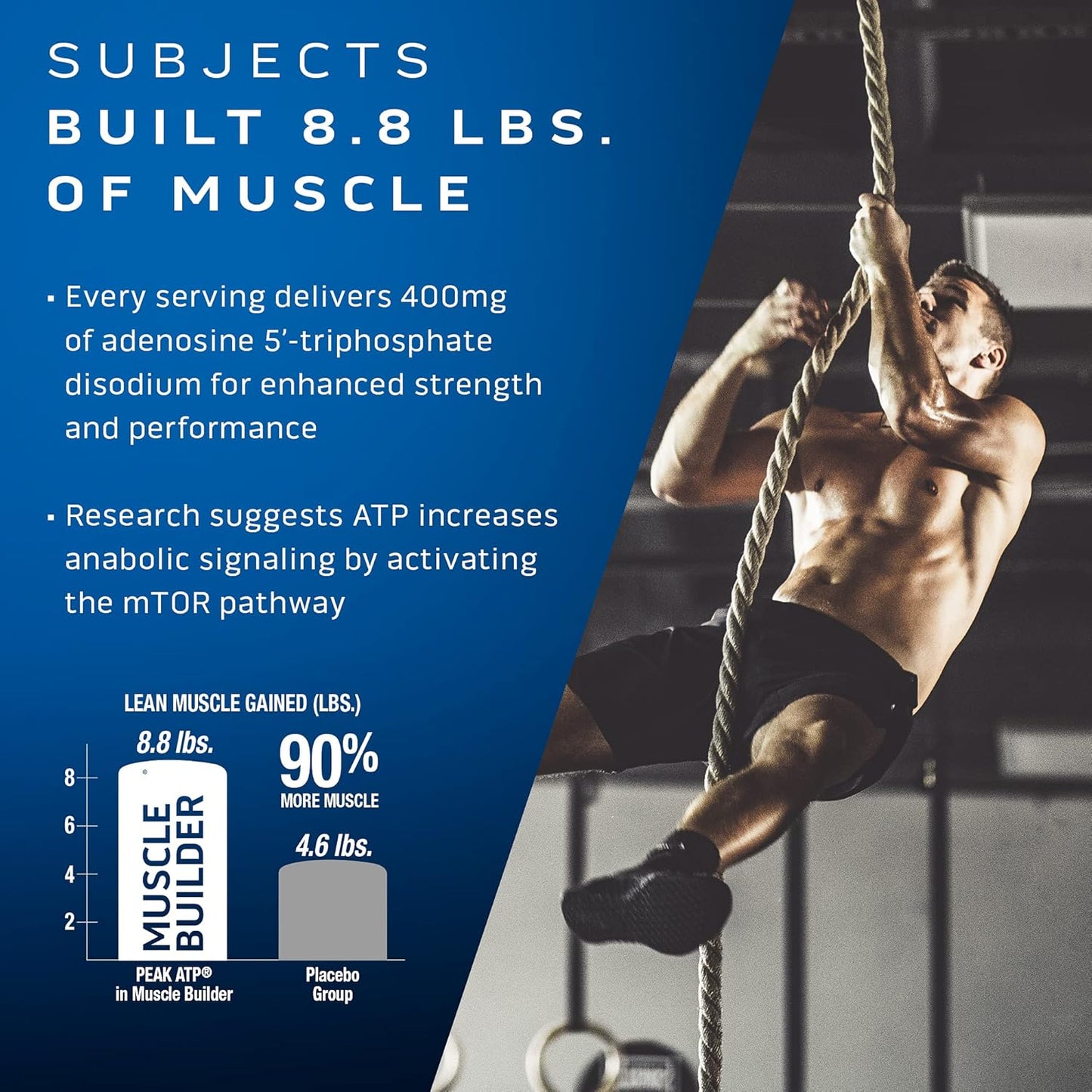 muscle-building-bundle-muscletech-muscle-builder-with-peak-atp-platinum-multivitamin---immune-support-amino-matrix-for-men-women-4