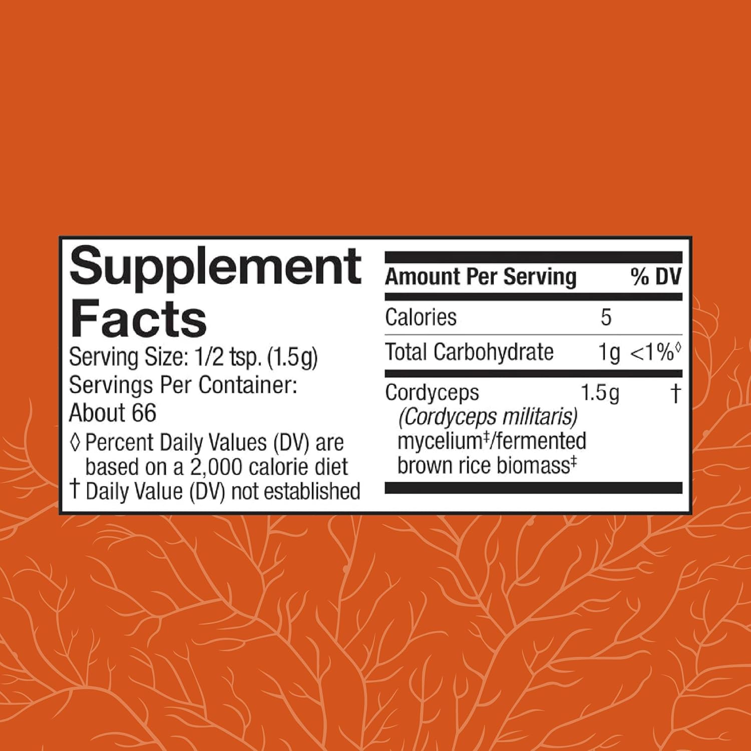 cordyceps-powder-for-immune-energy-support---kidney-health-supplement---fitness-aid-with-oxygen-uptake---35-oz-2