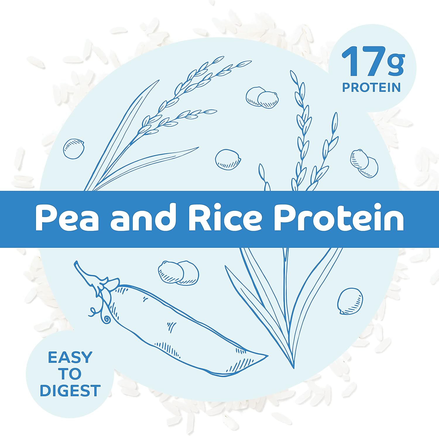 Chocolate Vegan Protein Powder | No Udder Protein | 17g Protein | Soy Free | 1lb Size - Espot.com.au
