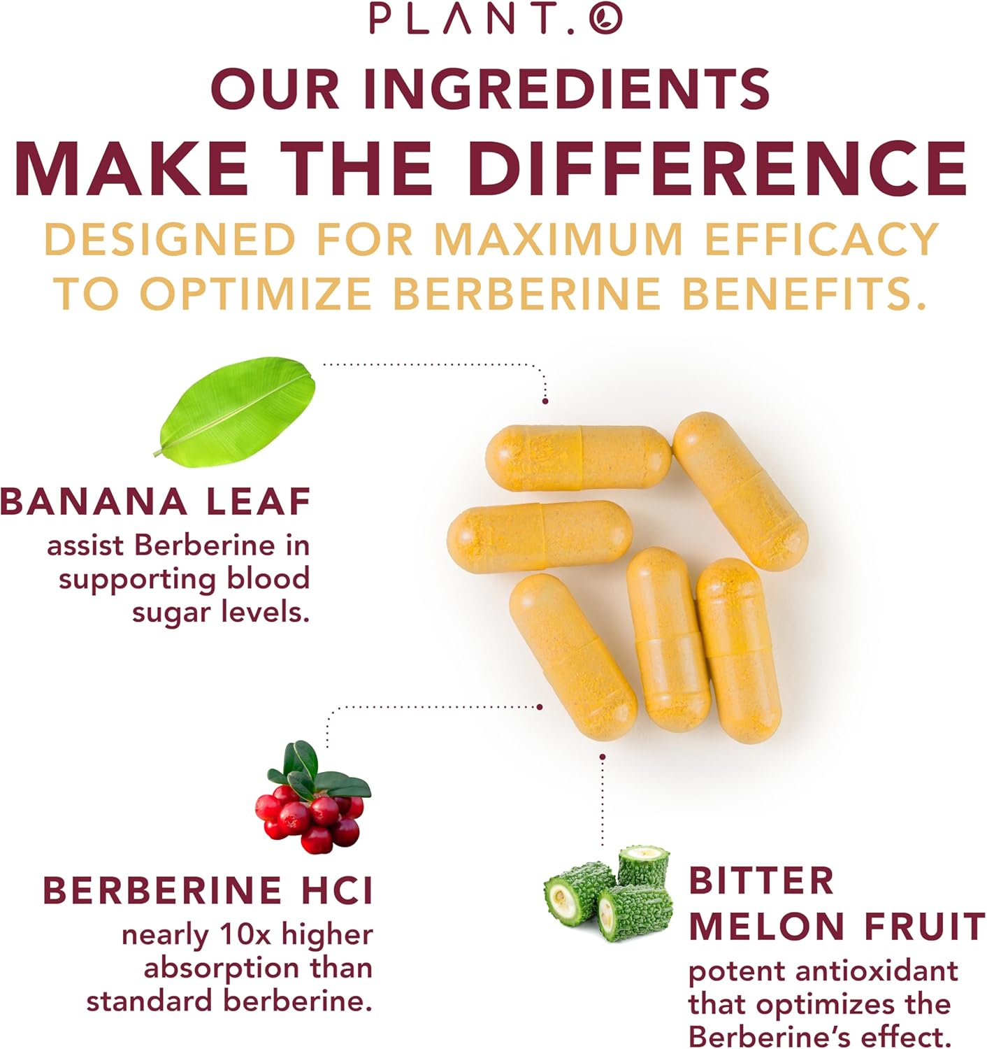 planto-nutrition-berberine-supplement---1250mg-extra-strength-complex-with-bitter-lemon-banaba-leaf---non-gmo-immune-support-antioxidant---60-capsules-6