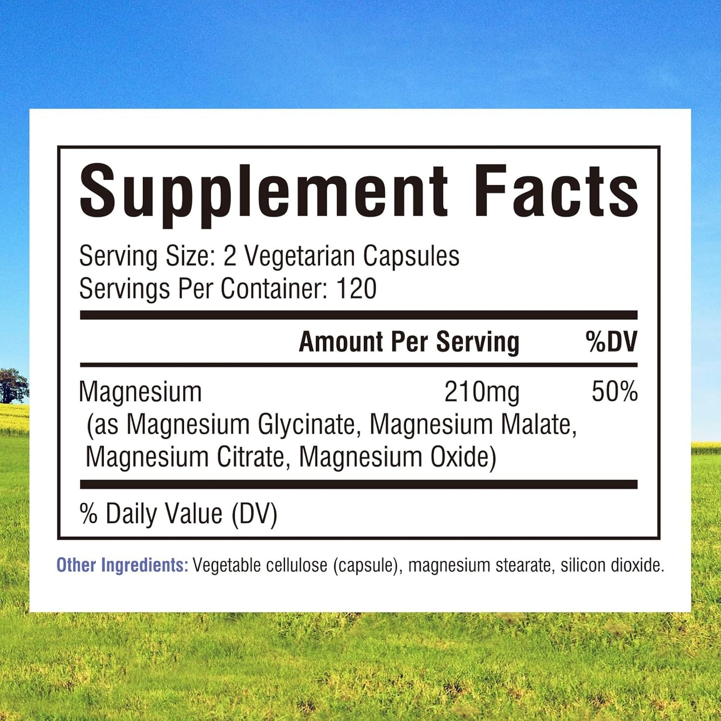 magnesium-complex-supplement---4-in-1-formula-for-energy-muscles-bones-nerves-240-capsules-vegan-gluten-free-2