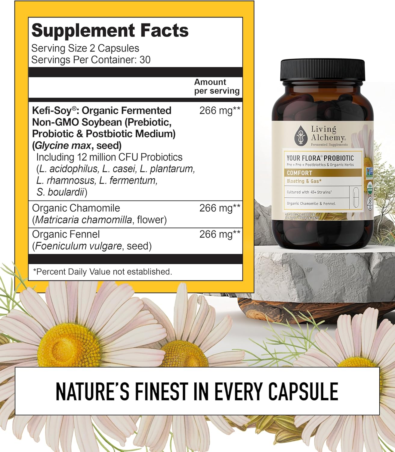 non-gmo-probiotic-comfort-supplement-with-soybean-chamomile-fennel-prebiotics-and-digestive-enzymes---60-capsules-by-living-alchemy-2