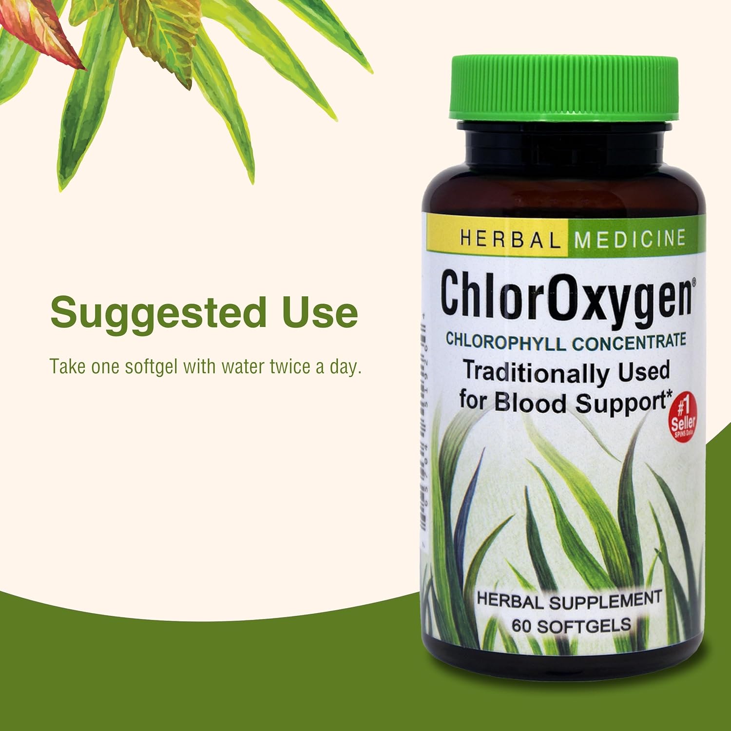 herbs-etc-chloroxygen-chlorophyll-concentrate-softgels---supports-healthy-blood-circulation-energy---high-altitude-environment-aid---60-servings-6