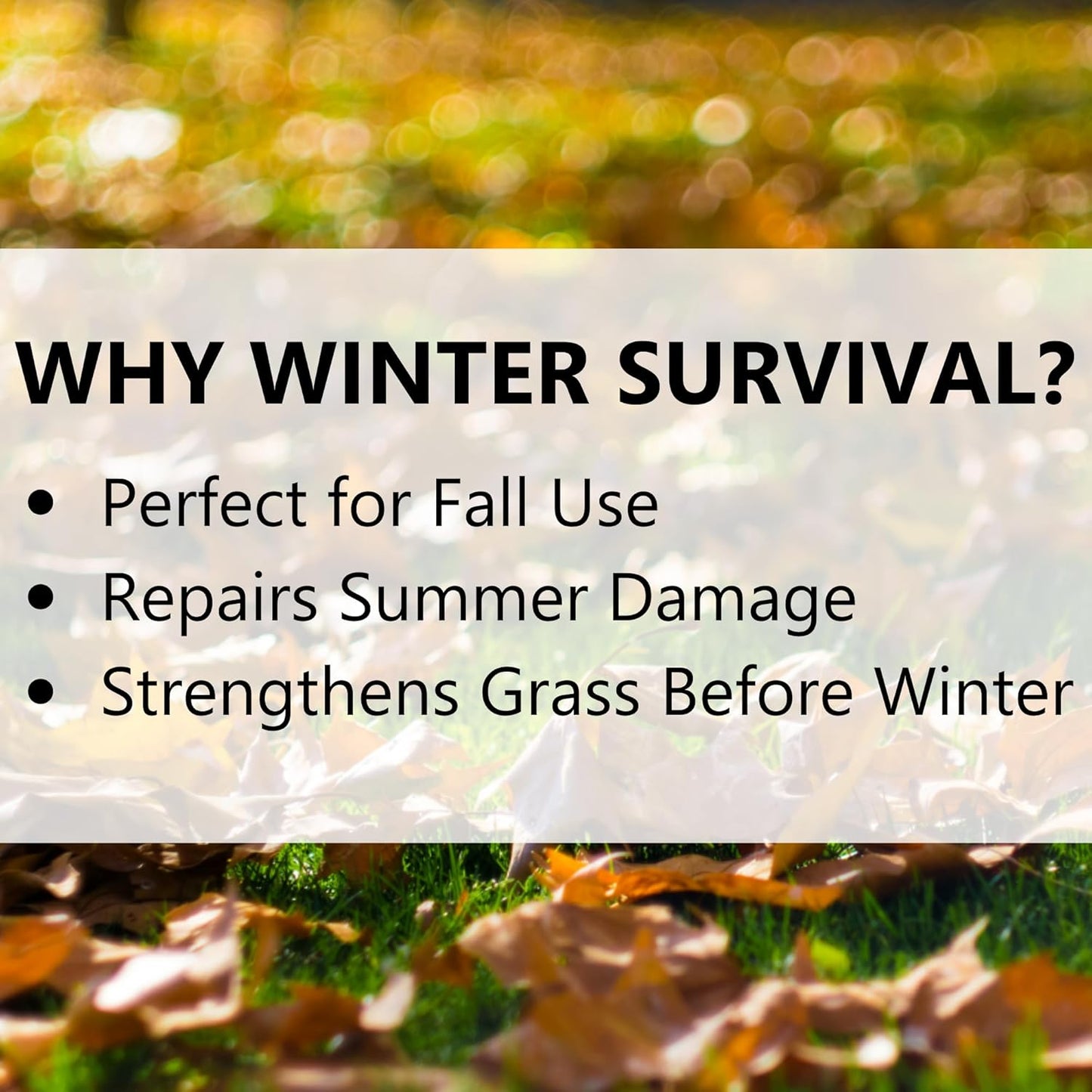 Jonathan Green Winter Survival Fall Lawn Food - 10-0-20 Fertilizer for Fall Lawns (15,000 Sq. Ft.) - Espot.com.au