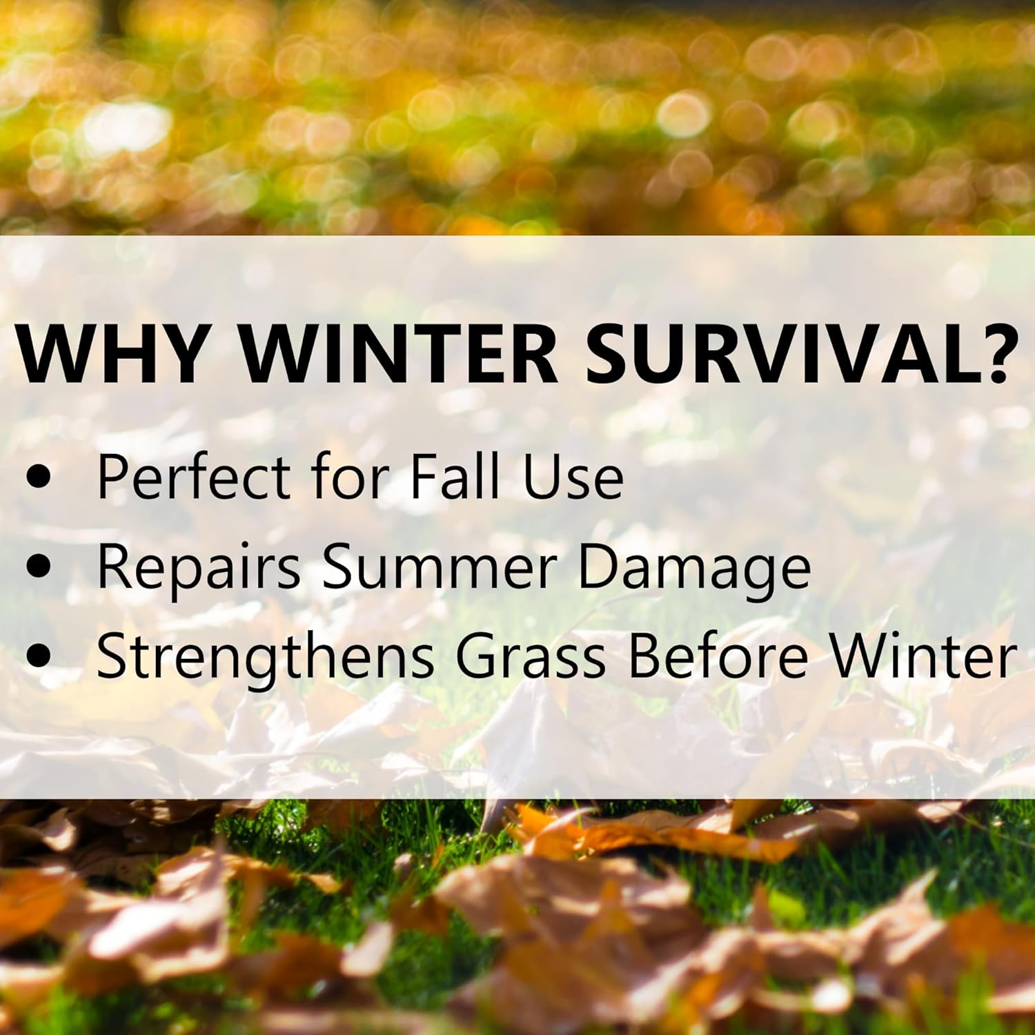 Jonathan Green Winter Survival Fall Lawn Food - 10-0-20 Fertilizer for Fall Lawns (15,000 Sq. Ft.) - Espot.com.au
