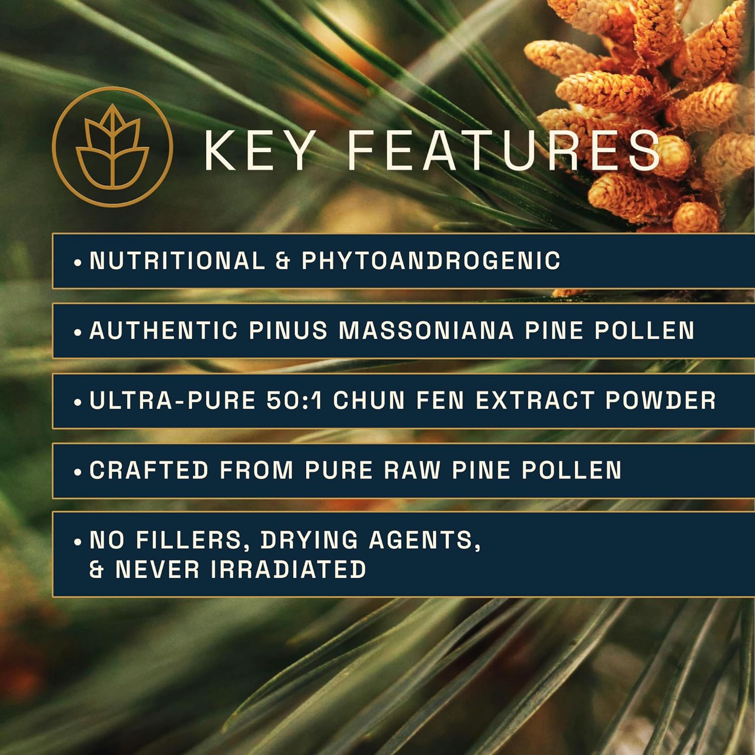 Forest Prana Pine Pollen Extract Capsules - 120 Count Bottle - Premium Mountain Harvest Pine Pollen Supplement - Espot.com.au