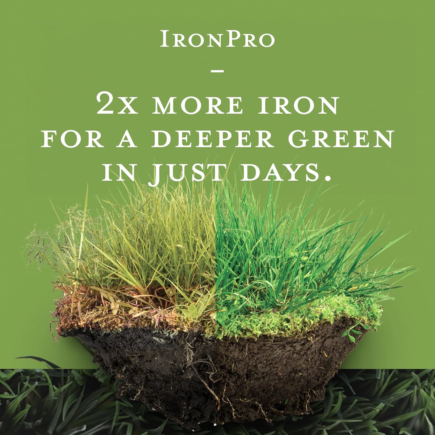 Earth Science Iron Pro Fast Acting Supplement for Lawn & Garden - Deep Green Results for Grass, Flowers, Vegetables, & Shrubs - Non-Staining, Non-Burning Formula - Covers 1K Sq. Ft. - Espot.com.au