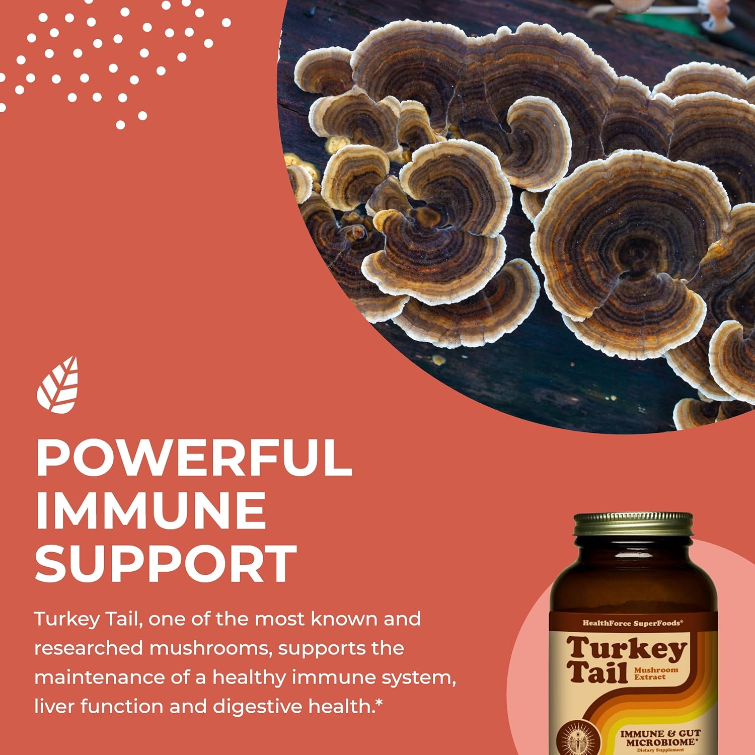 organic-turkey-tail-mushroom-powder---150g---healthforce-superfoods-4