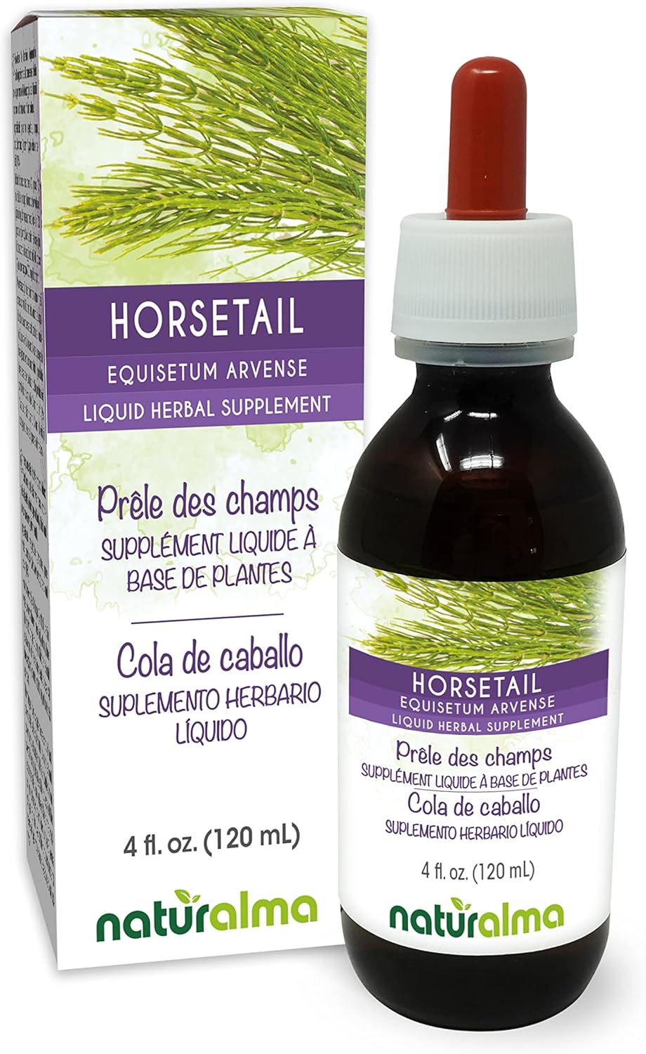 alcohol-free-horsetail-equisetum-arvense-tincture---4-fl-oz-liquid-extract-for-herbal-supplement---vegan-friendly-1