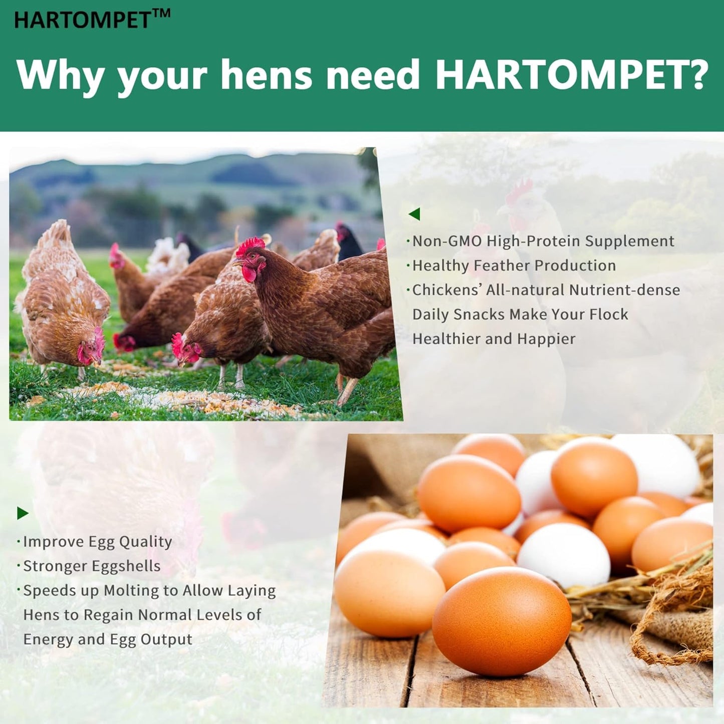 5-lb-grubsfarm-hartompet-black-soldier-fly-larvae-treats---non-gmo-chicken-feed-additive---high-calcium---ideal-for-hens-ducks-and-wild-birds-5