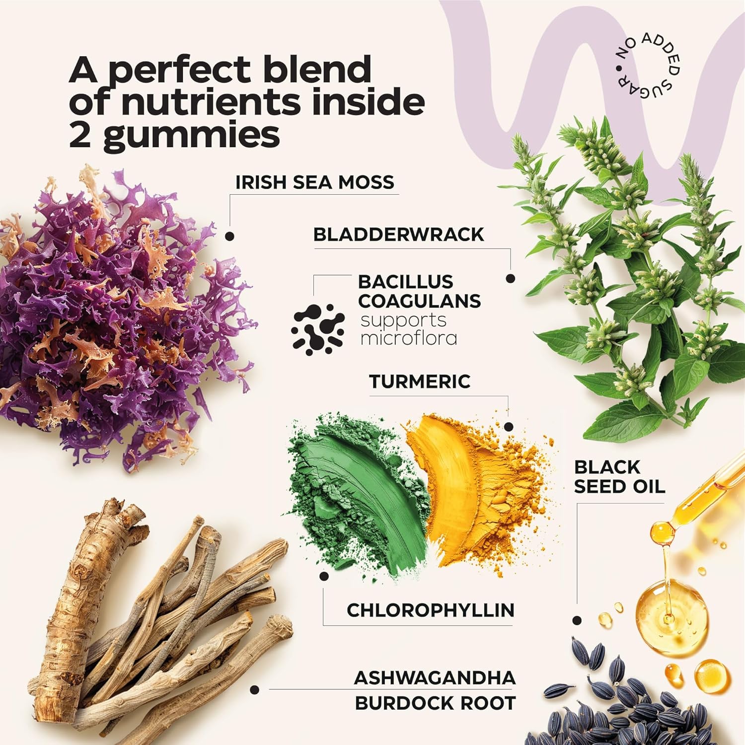 3000-mg-wellneum-multimineral-sea-moss-glow-gummies-with-irish-seamoss-for-immunity-thyroid-health-and-skin---detox-cleanse-gummies-with-black-seed-oil-bladderwrack-and-ashwagandha---no-sugar-gmo---men-and-women-2