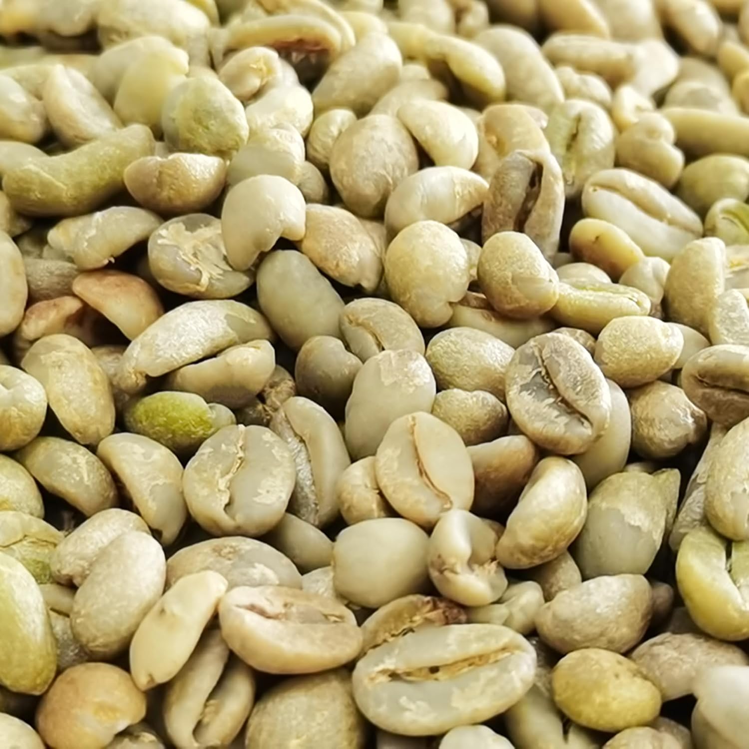 32oz-ethiopian-yirgacheffe-green-coffee-beans---unroasted-raw-beans---premium-quality---bulk-size---15883-6