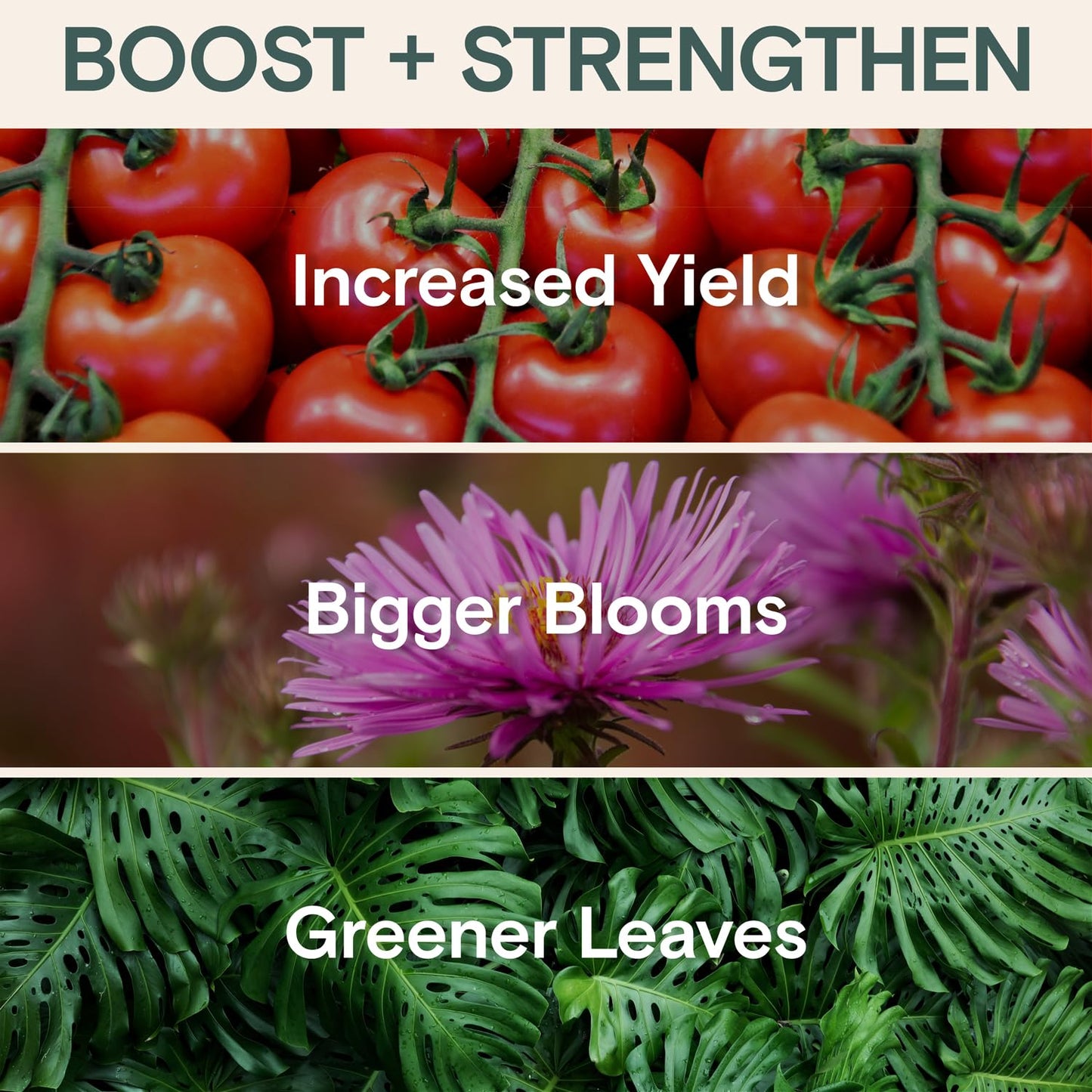 organic-plant-nutrition-starter-set---liquid-concentrate-for-gardens---nourish-protect-and-boost-growth---arber-nutrition-health-3