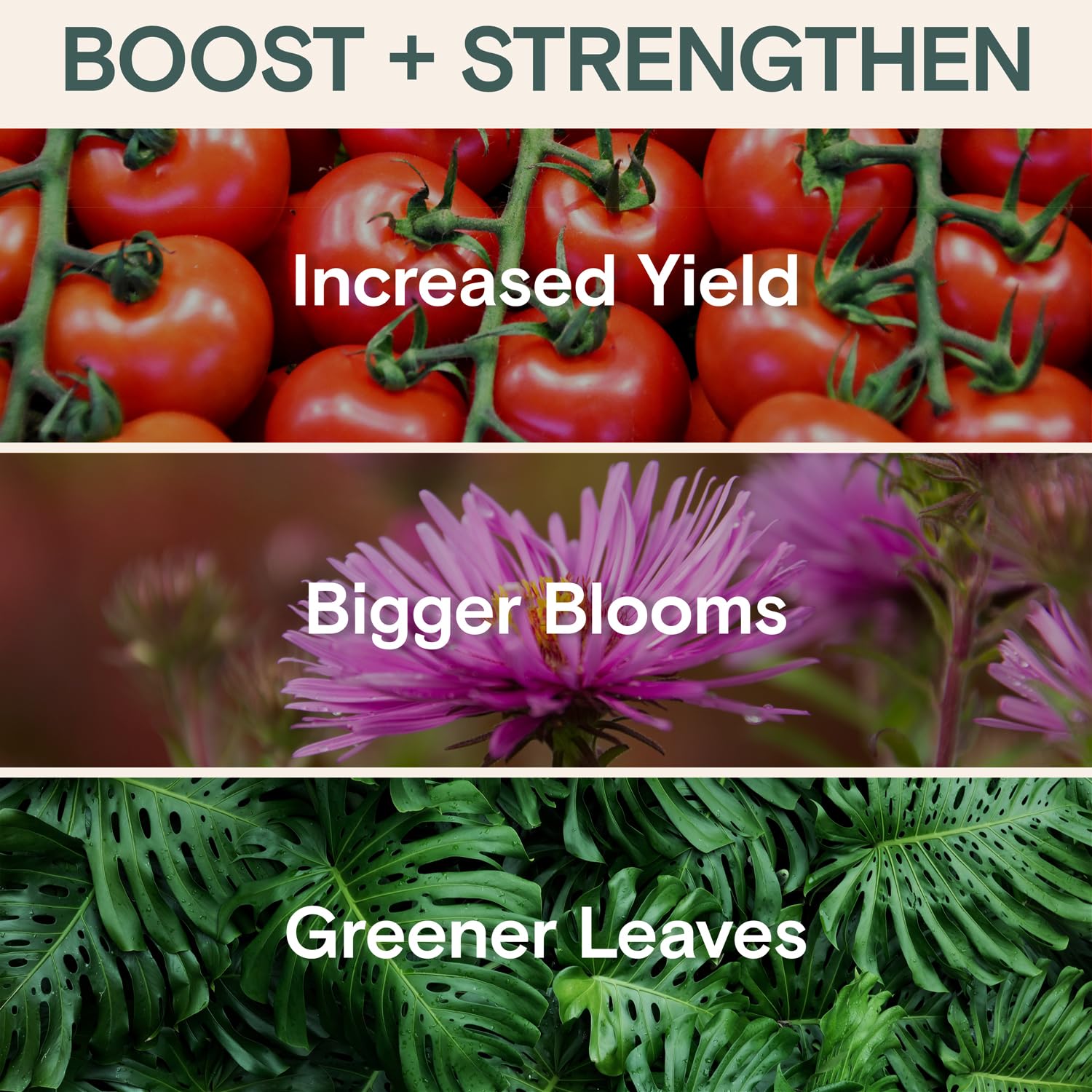 organic-plant-nutrition-starter-set---liquid-concentrate-for-gardens---nourish-protect-and-boost-growth---arber-nutrition-health-3