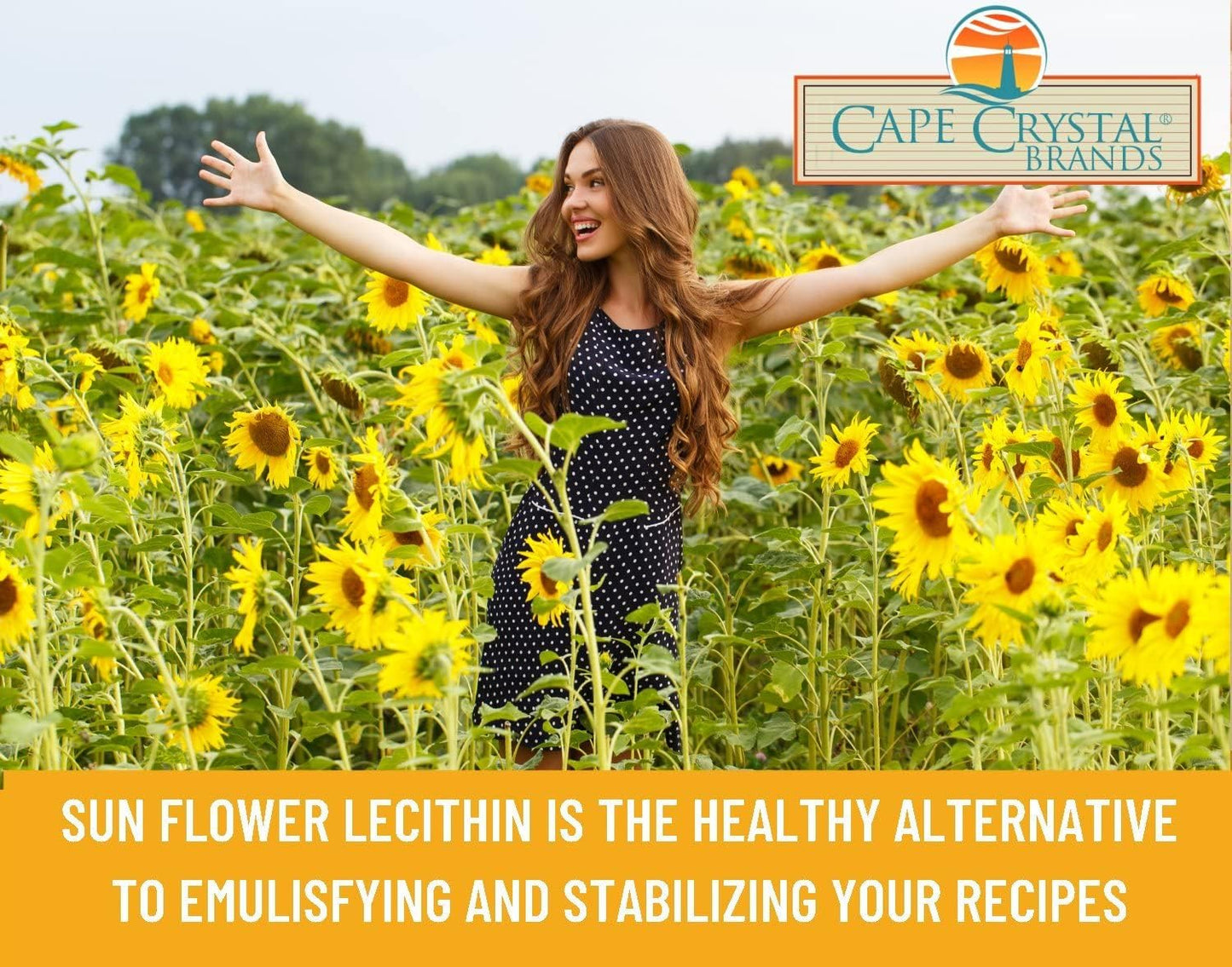 organic-sunflower-lecithin-powder---gluten-free-non-gmo-vegan-alternative-to-soy-14-oz---cape-crystal-6