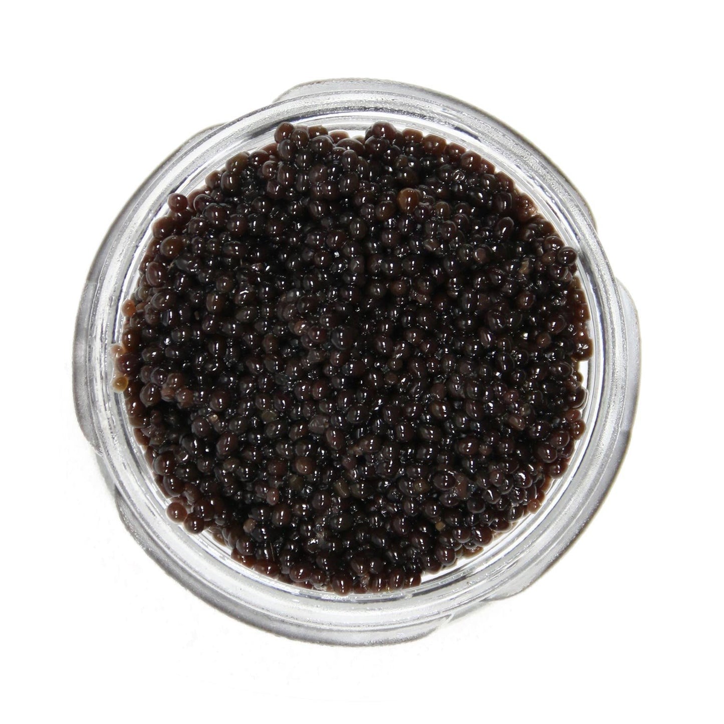 wild-american-bowfin-caviar---premium-choupique-roe---16-oz-450g---caviar-star-1