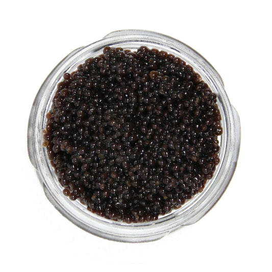 wild-american-bowfin-caviar---premium-choupique-roe---16-oz-450g---caviar-star-1