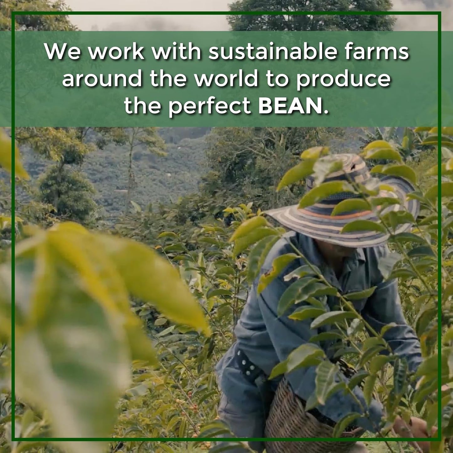 organic-hawaiian-hazelnut-ground-coffee-by-the-bean-coffee-company---16-oz-bag-8