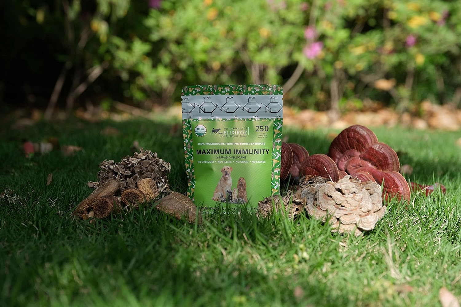organic-pet-immunity-booster-with-mushrooms-for-dogs-cats---veterinarian-formulated-with--glucan-reishi-extracts-2