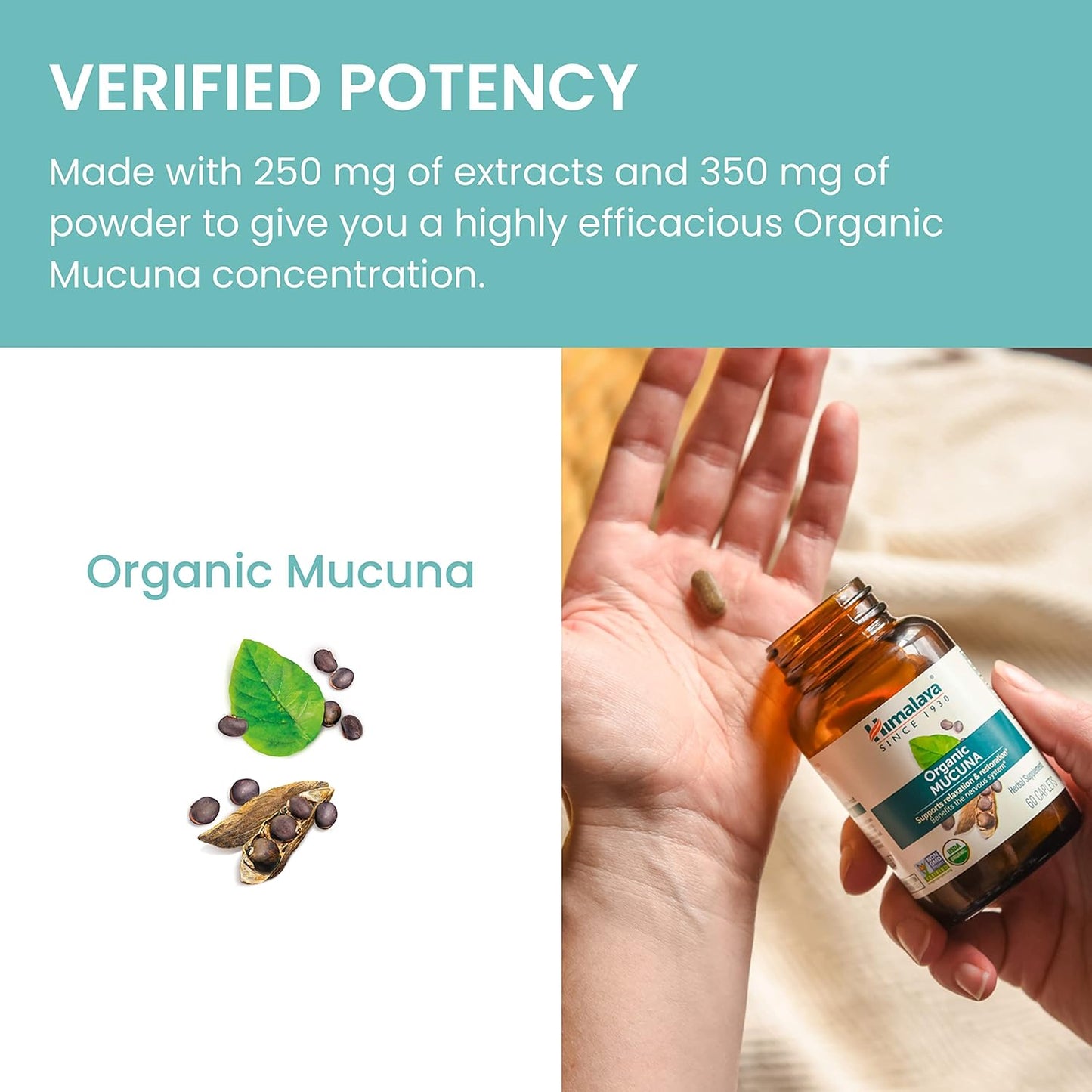 organic-mucunapruriens-herbal-supplement---600mg-60-plant-caplets---relaxation-brain-function---non-gmo-usda-organic-vegan-gluten-free---60-day-supply-6
