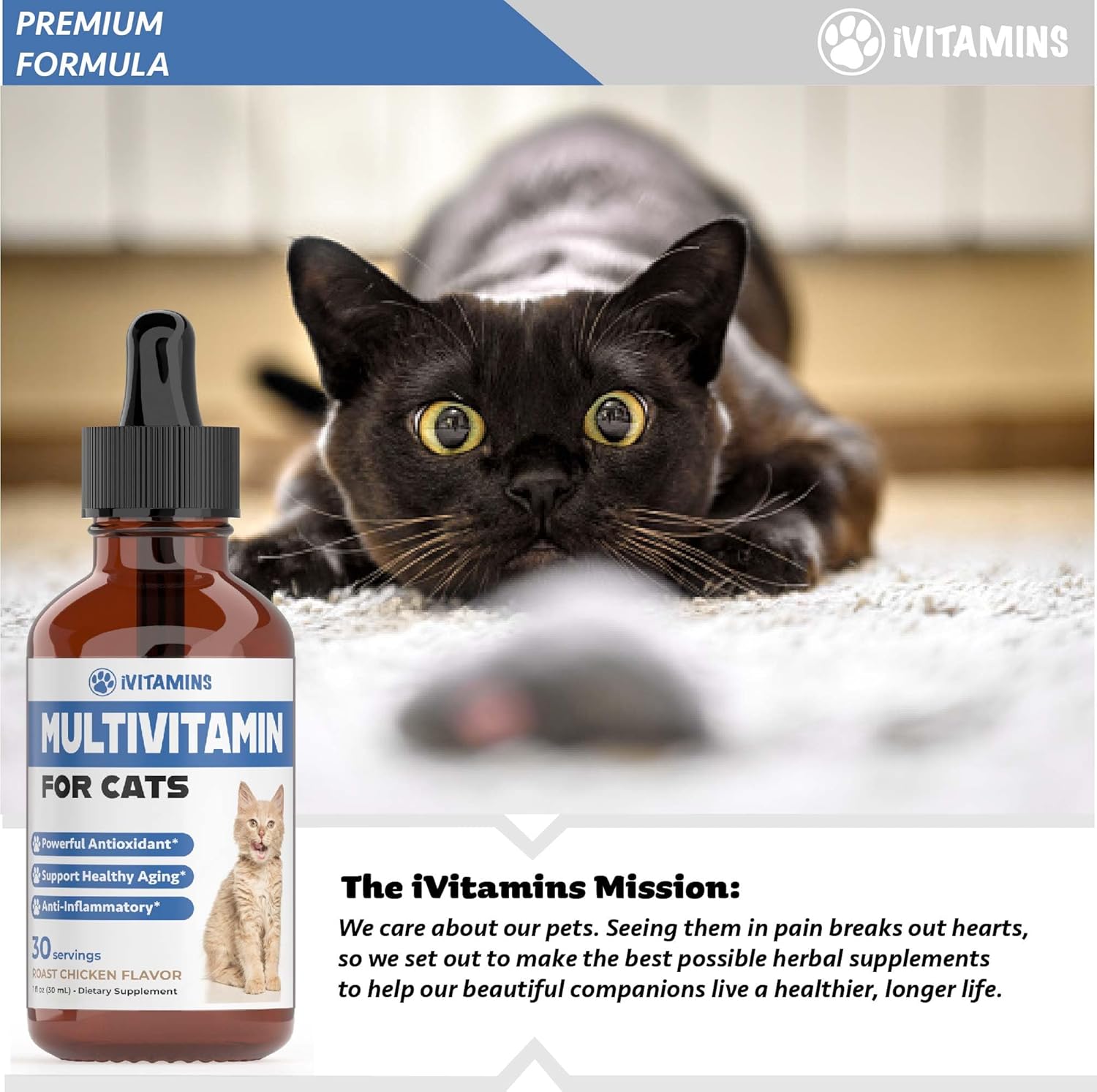 ivitamins-cat-multivitamin-for-immune-skin-coat-heart-health---indoor-kitten-vitamins---cat-immune-support---1-8