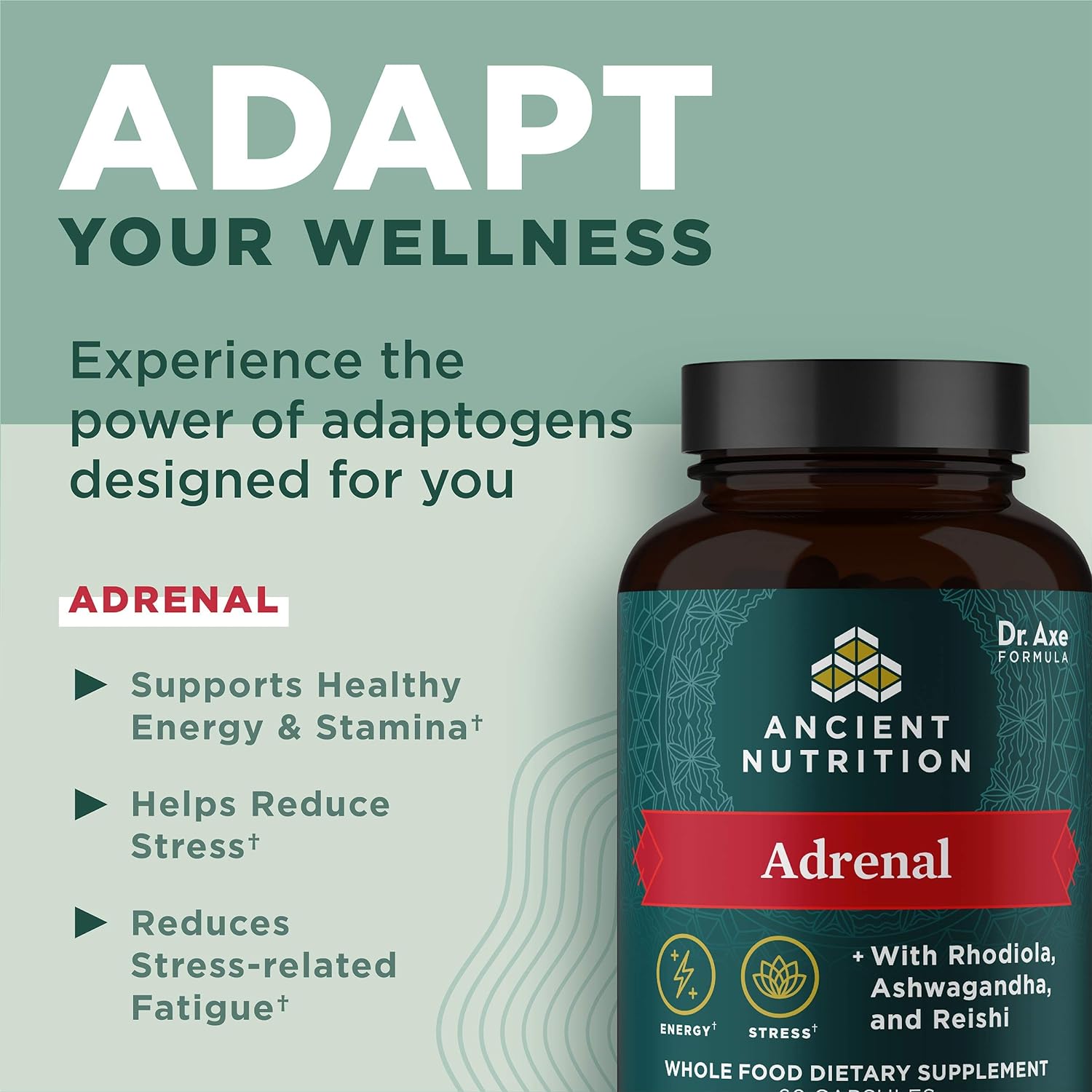 60-count-ancient-nutrition-adernal-and-leaky-gut-capsules-for-optimal-health-4