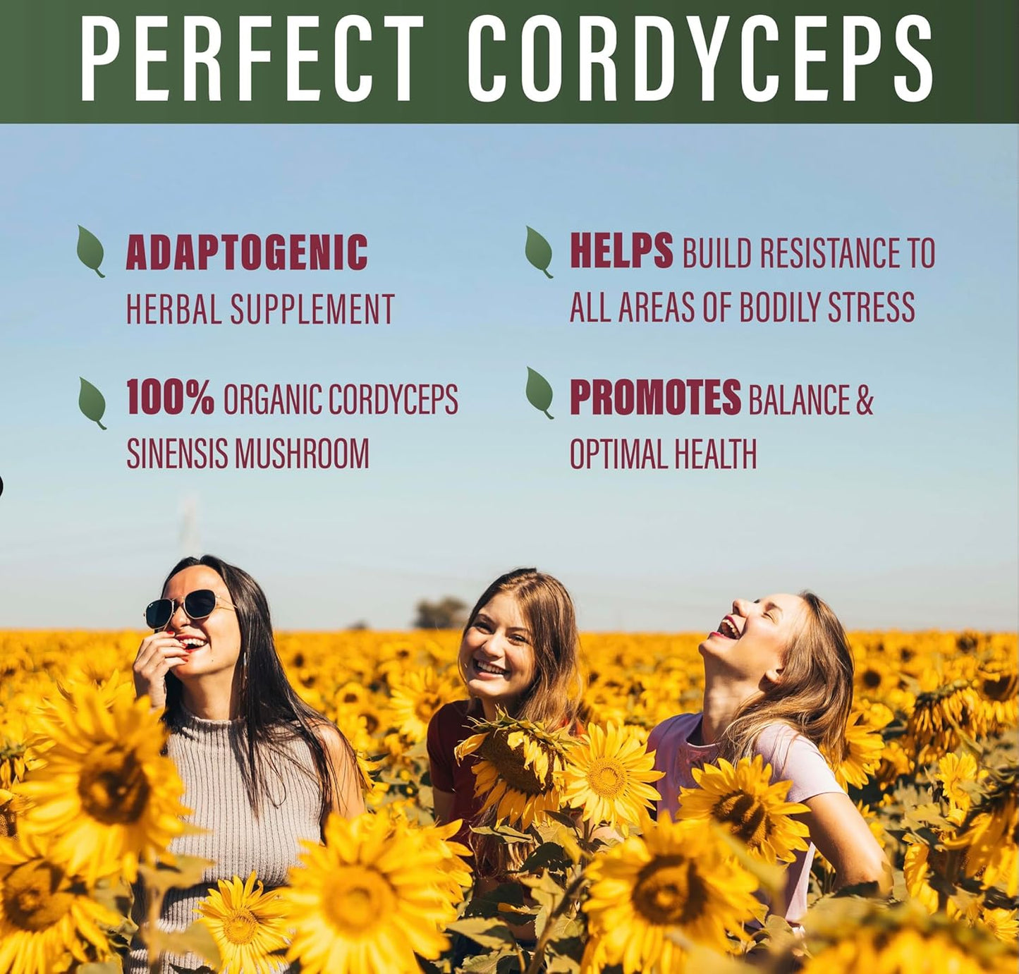 Organic Cordyceps Herbal Supplement - 90 Veg Capsules - Boosts Energy, Endurance, Strength - Adaptogenic Formula by Perfect Supplements - Espot.com.au