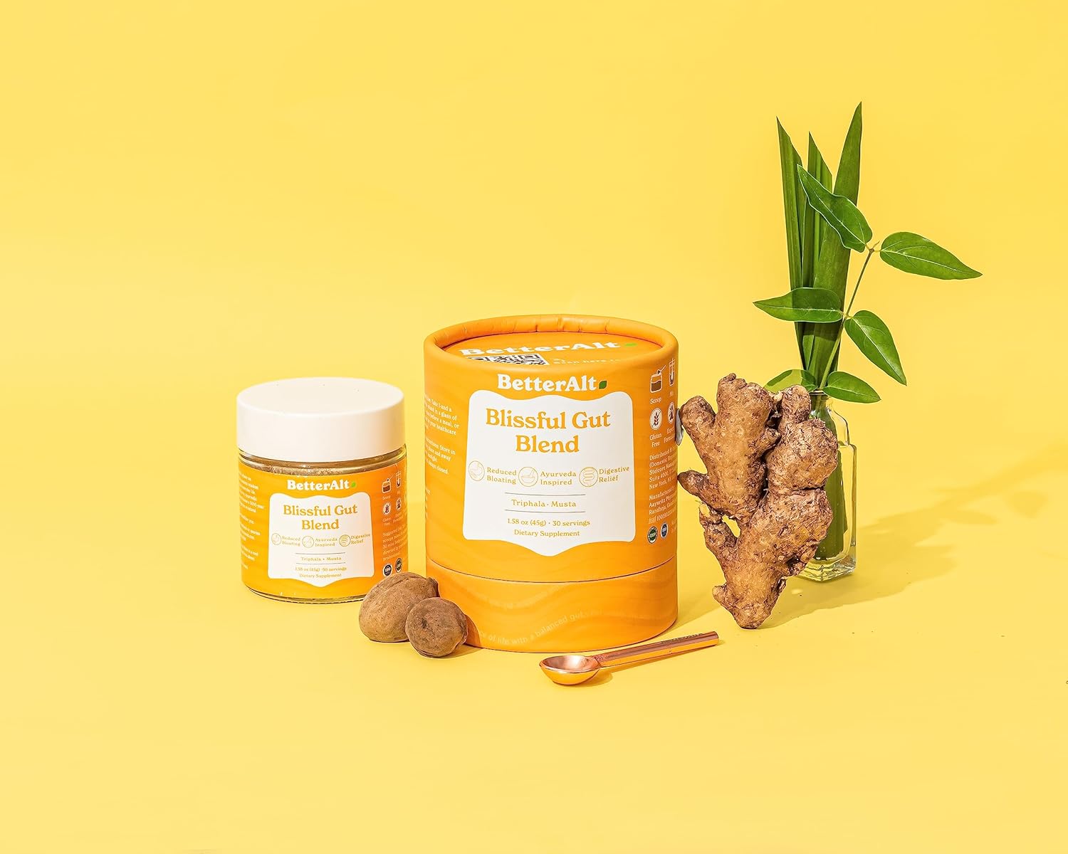 triphala-musta-ginger-gut-blend-with-probiotics-prebiotic-fiber---promotes-digestive-immune-health-gluten-free-for-men-and-women-2